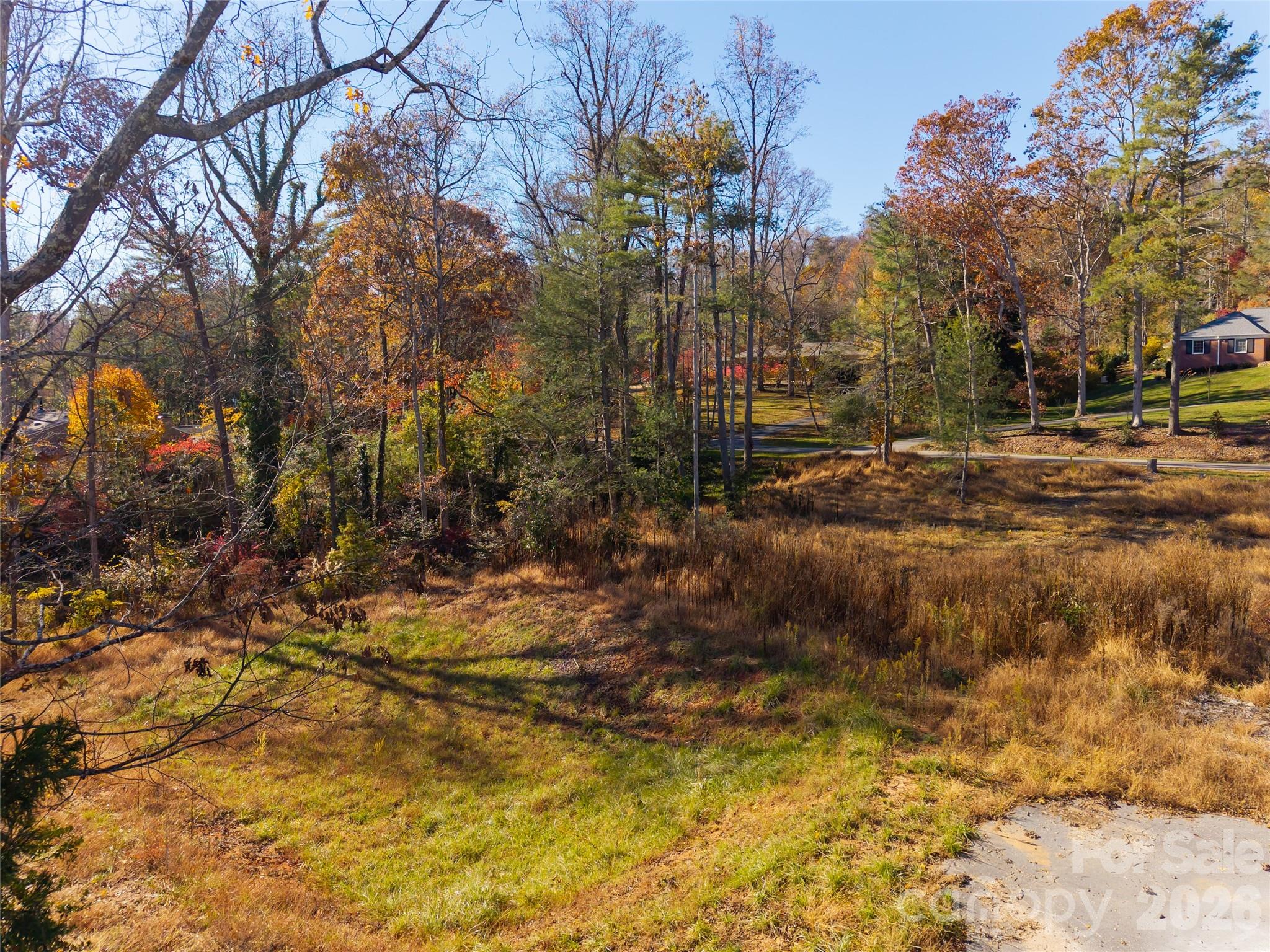 50 Forest Road Property Photo 6