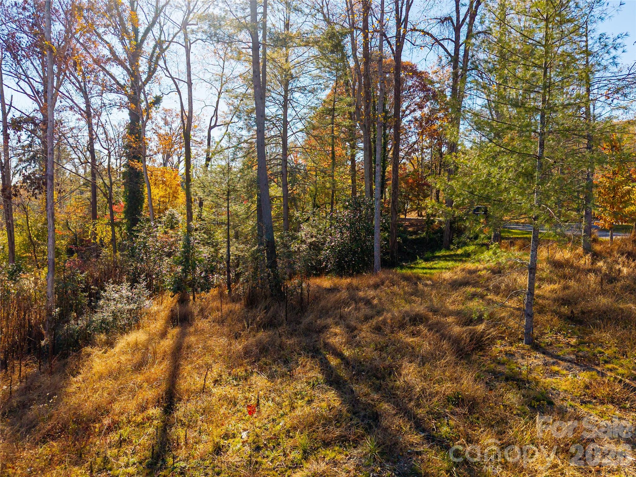50 Forest Road Property Photo 7