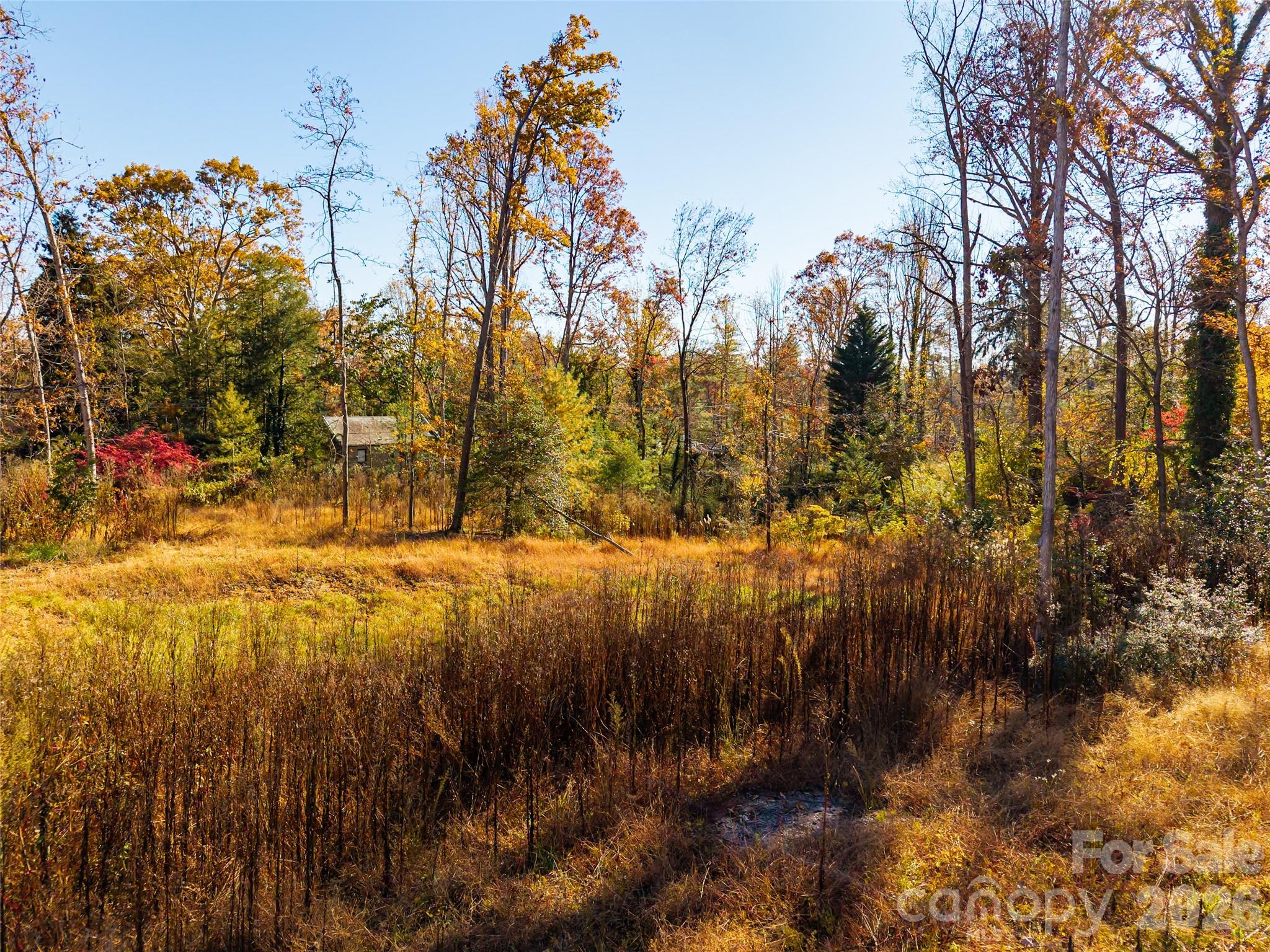 50 Forest Road Property Photo 10