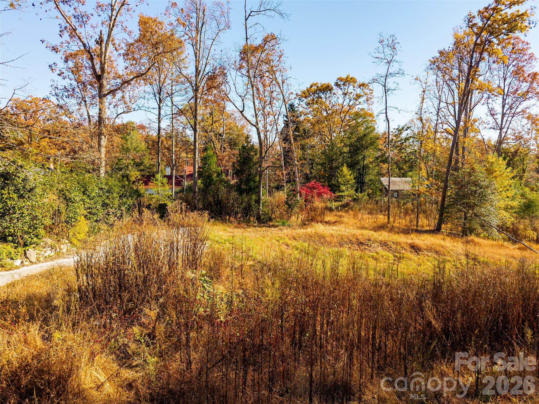 50 Forest Road Property Photo 13