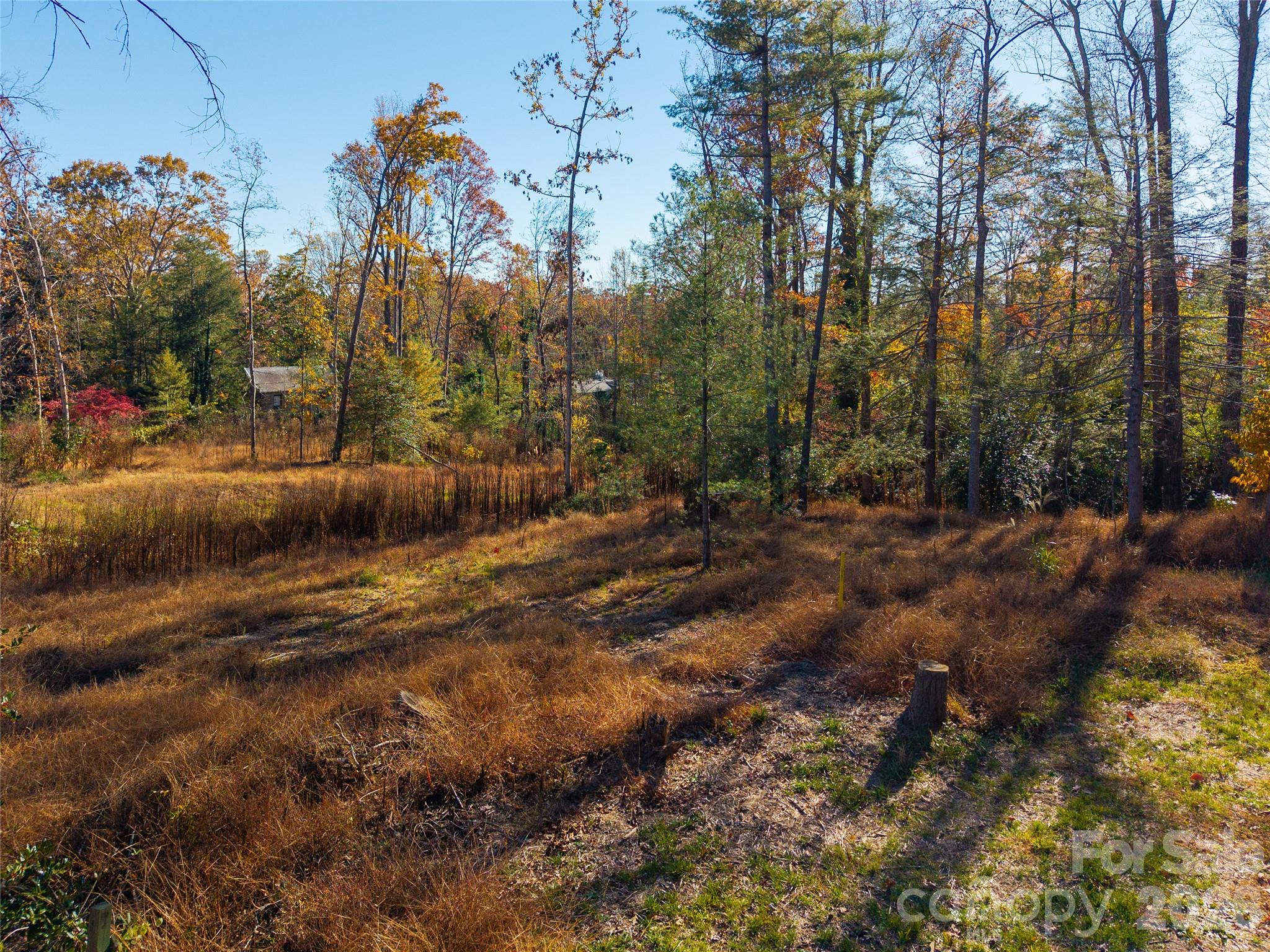 50 Forest Road Property Photo 18
