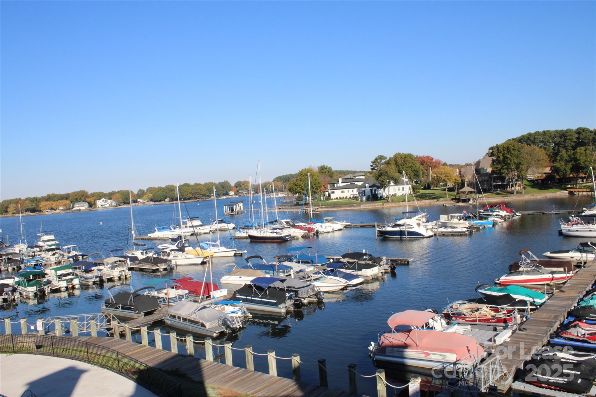 18749 Vineyard Point Lane Property Photo 2