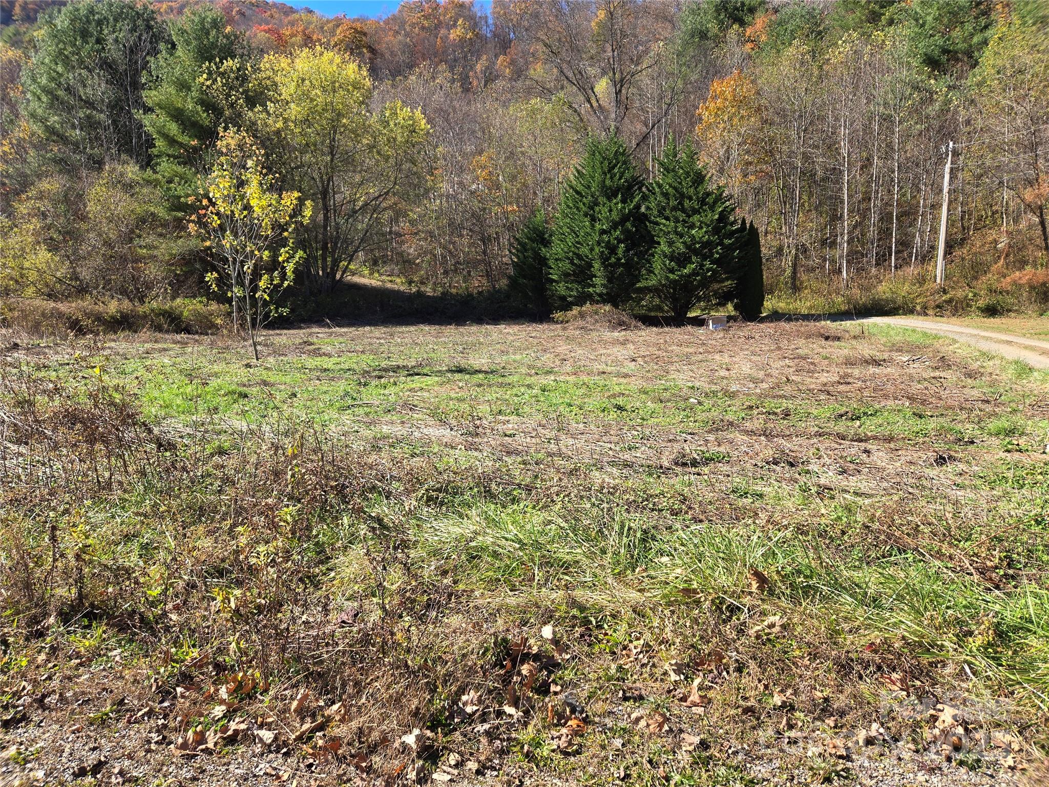 00 Eagles Trace Property Photo 6