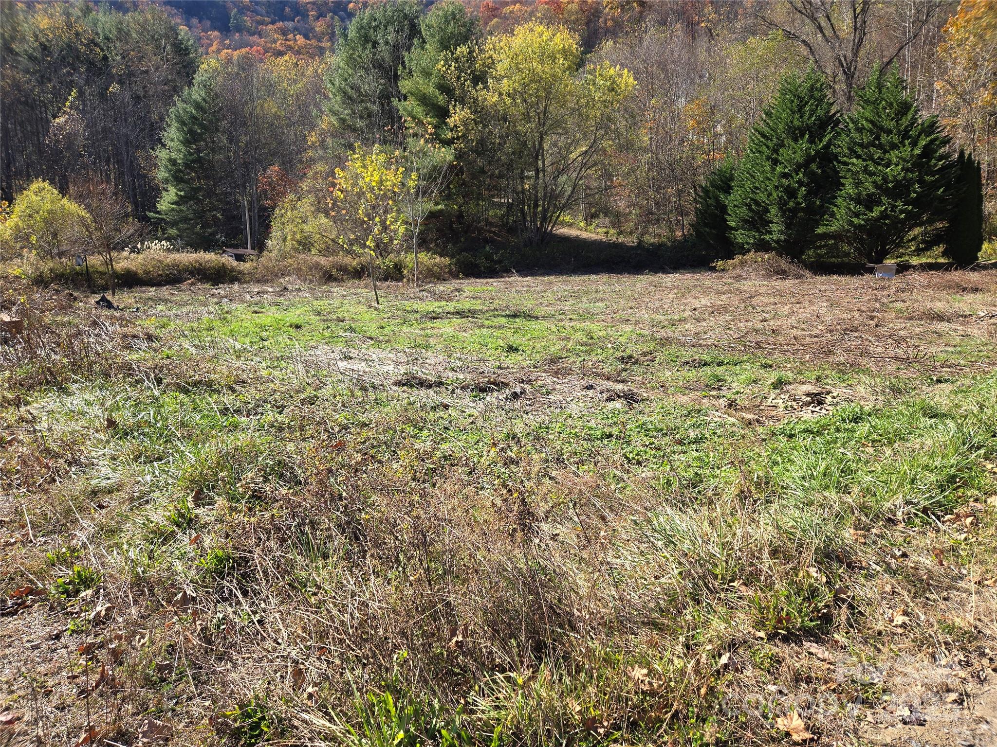 00 Eagles Trace Property Photo 7
