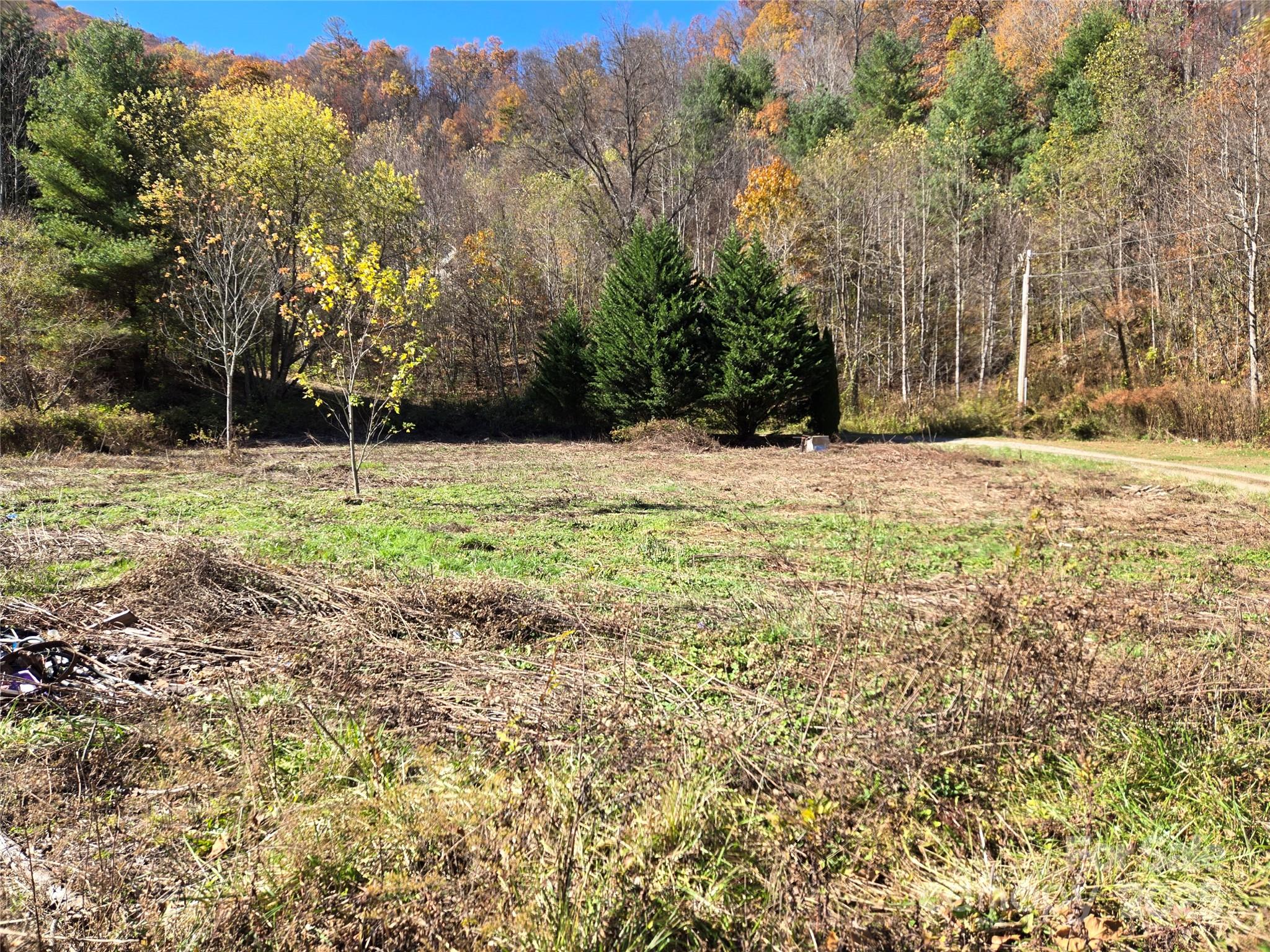 00 Eagles Trace Property Photo 8