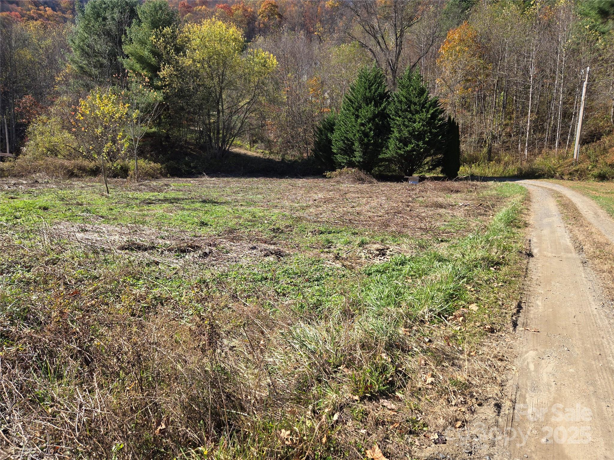 00 Eagles Trace Property Photo 10