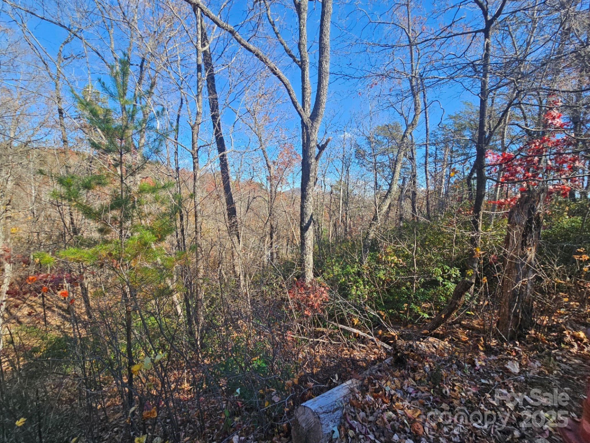 0 Lure Ridge Drive 1 Property Photo 4
