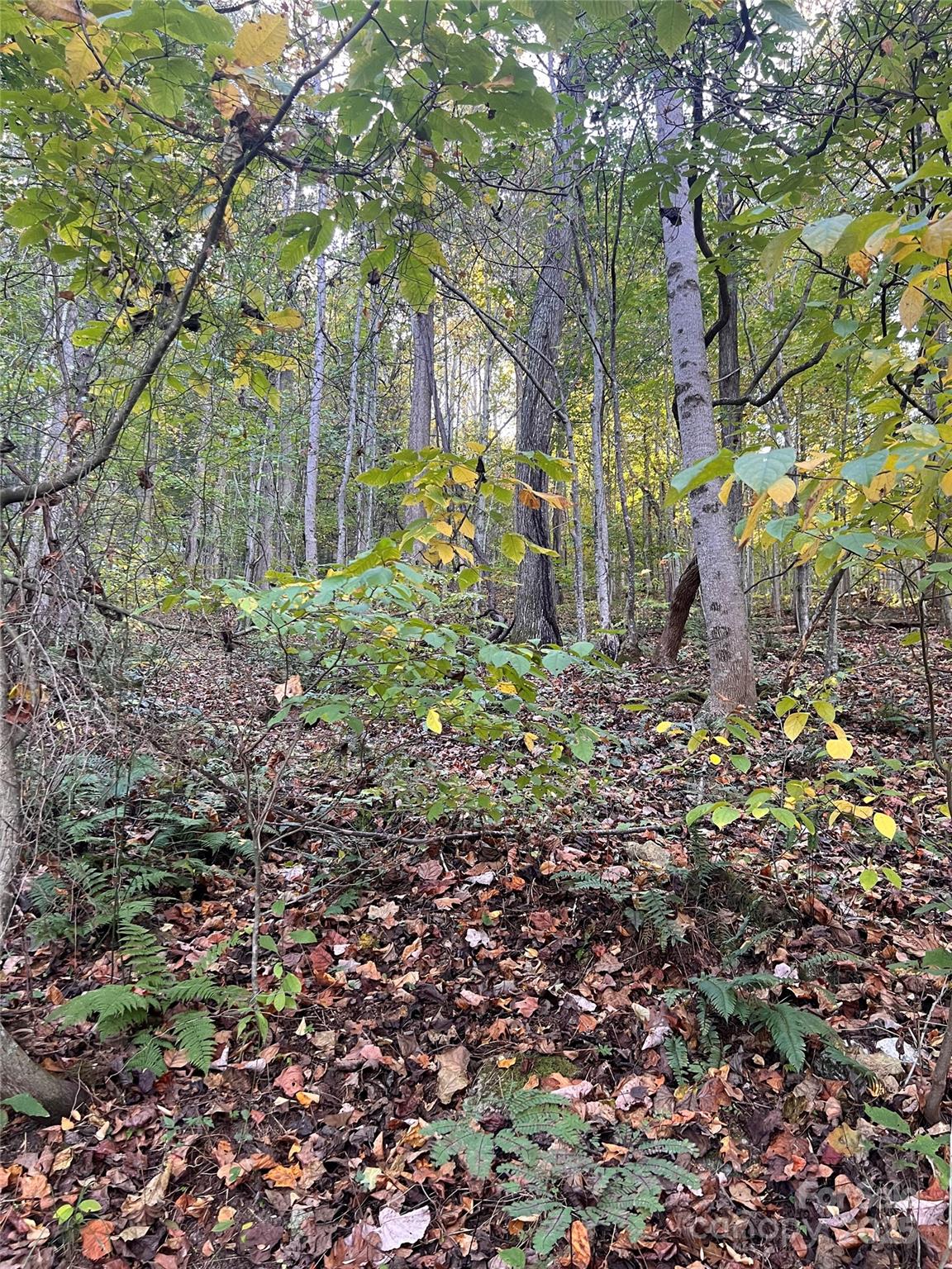 9999 Fox Town Road Property Photo 2