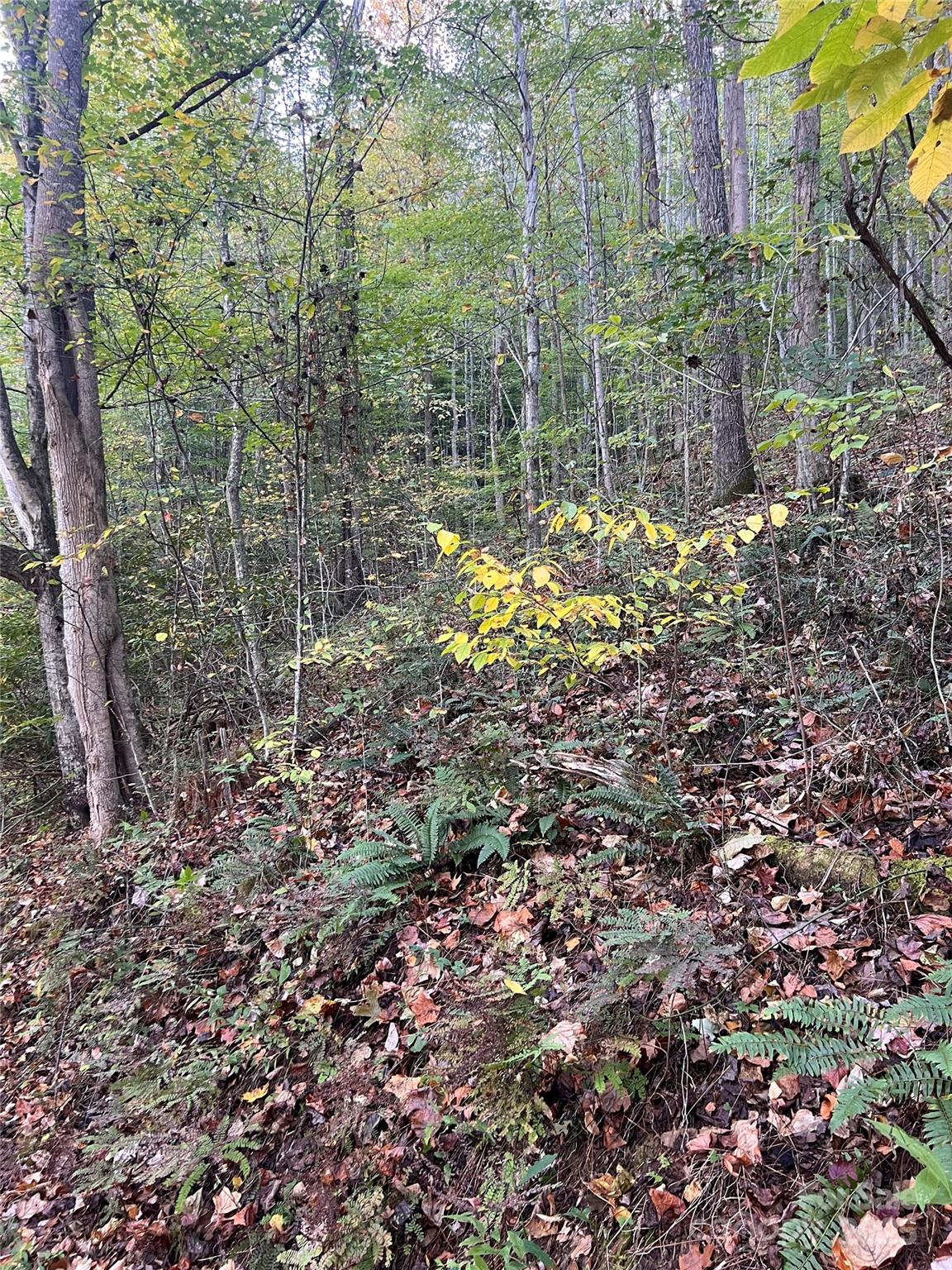 9999 Fox Town Road Property Photo 3
