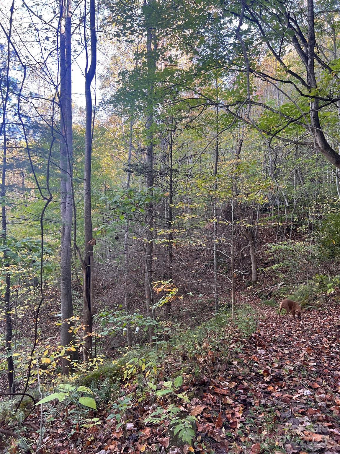 9999 Fox Town Road Property Photo 4