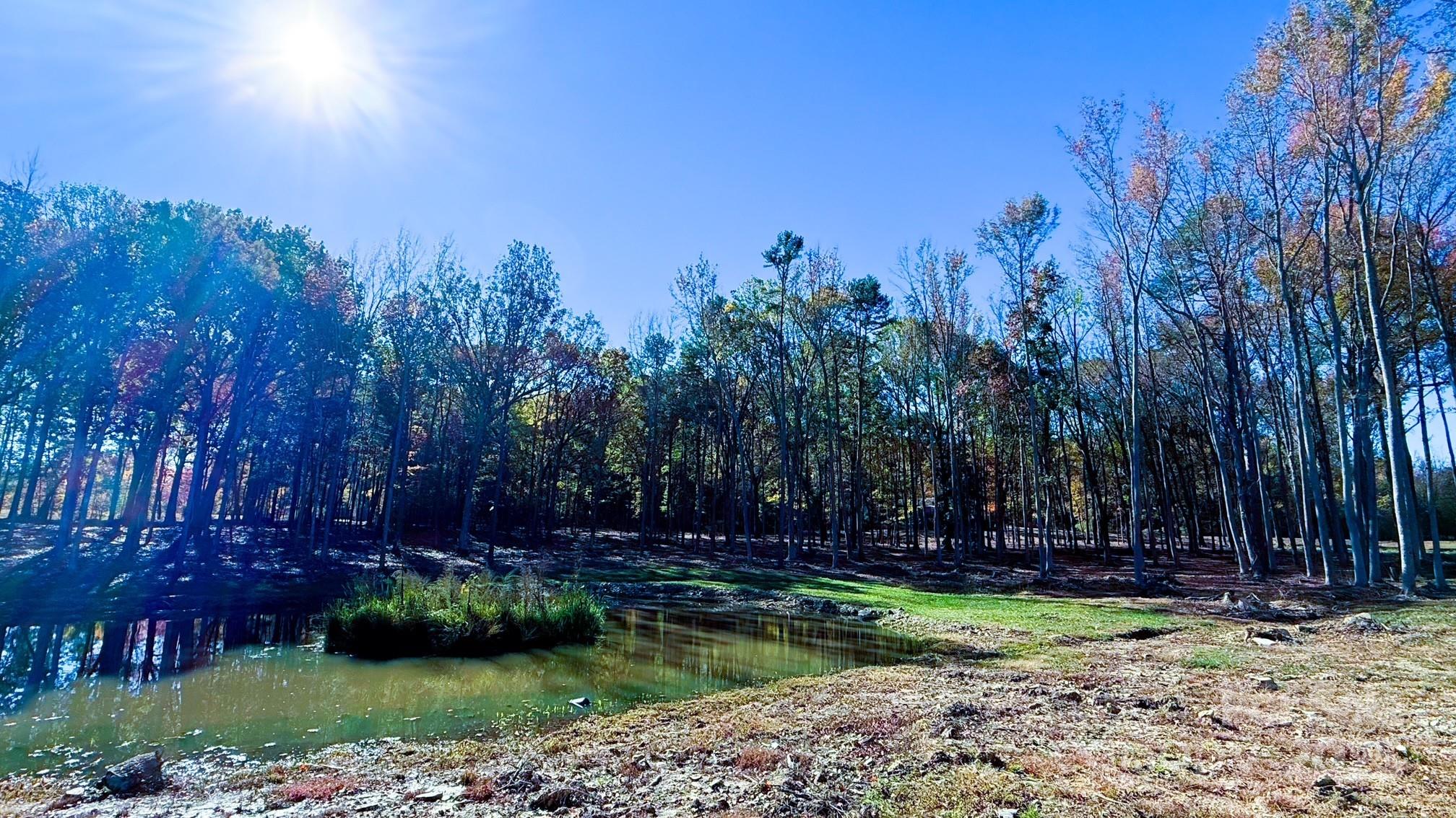 00 Waxhaw Highway Property Photo 3