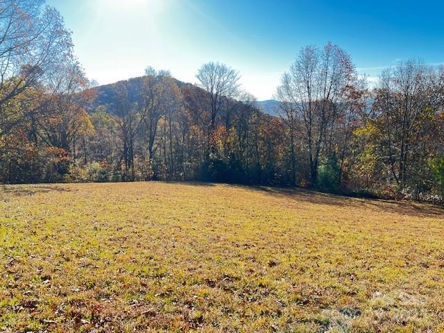 Lot 117 Autumn Sky Drive Property Photo 1