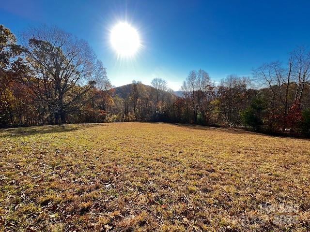 Lot 117 Autumn Sky Drive Property Photo 2