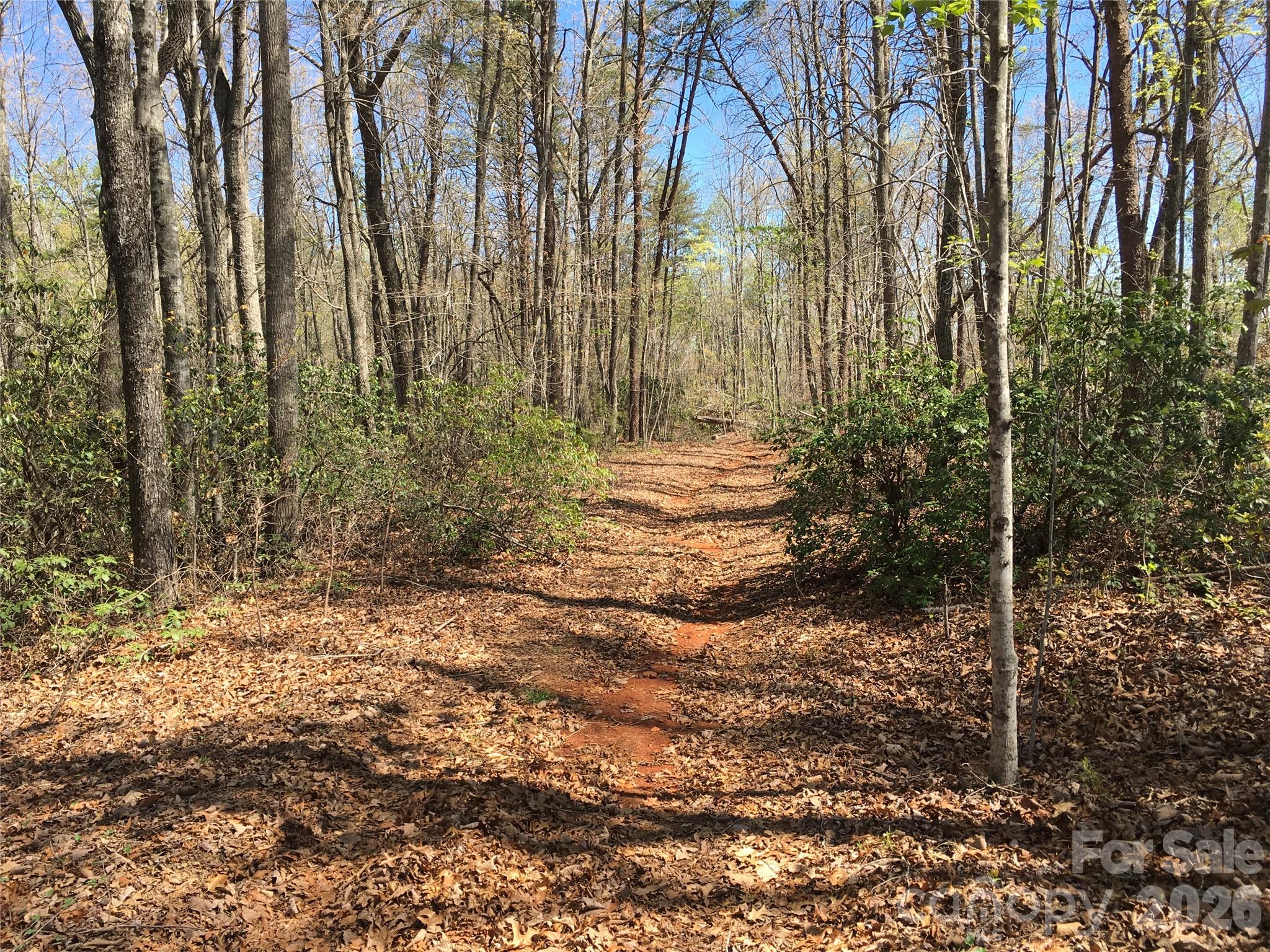 00 Lytle Mountain Road Property Photo 2