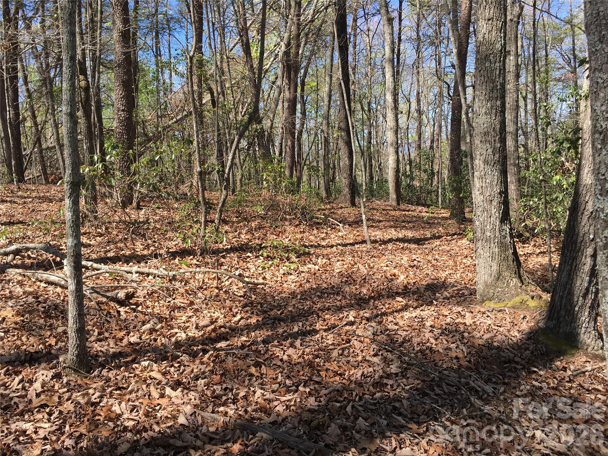 00 Lytle Mountain Road Property Photo 3
