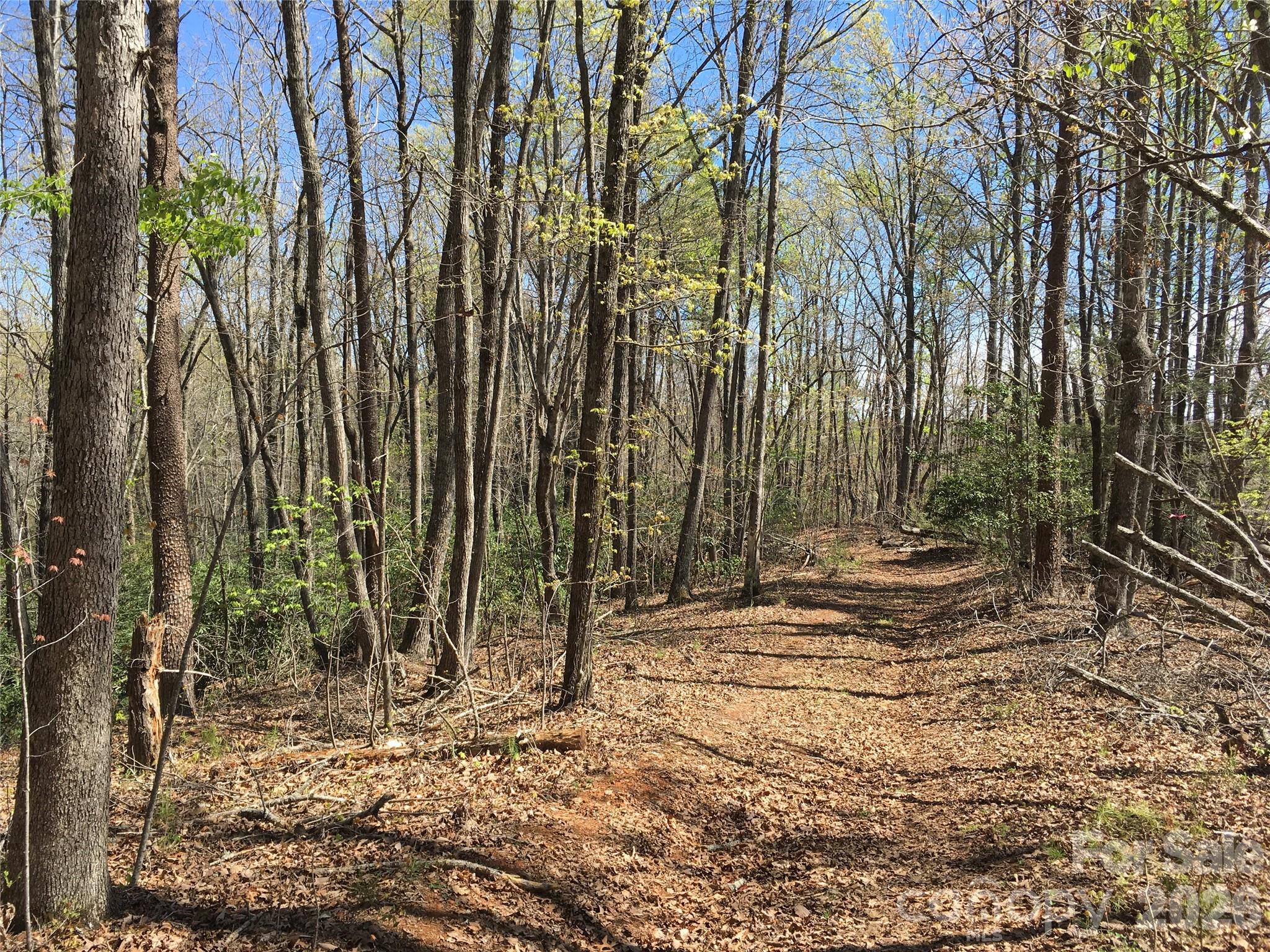 00 Lytle Mountain Road Property Photo 4