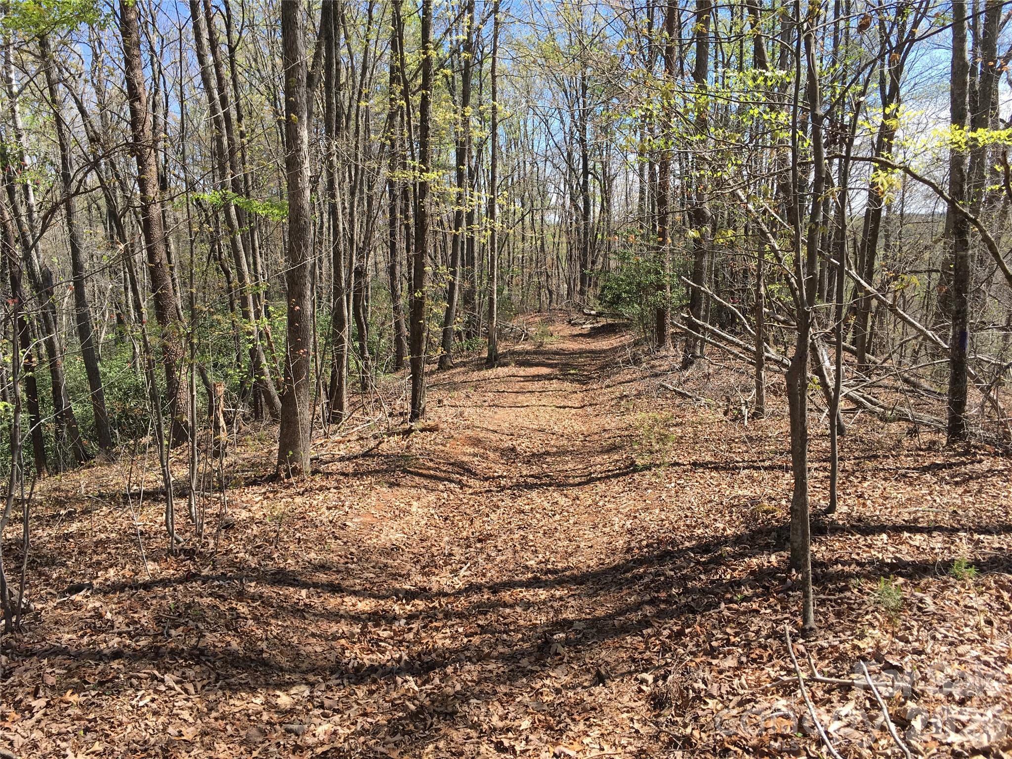 00 Lytle Mountain Road Property Photo 6