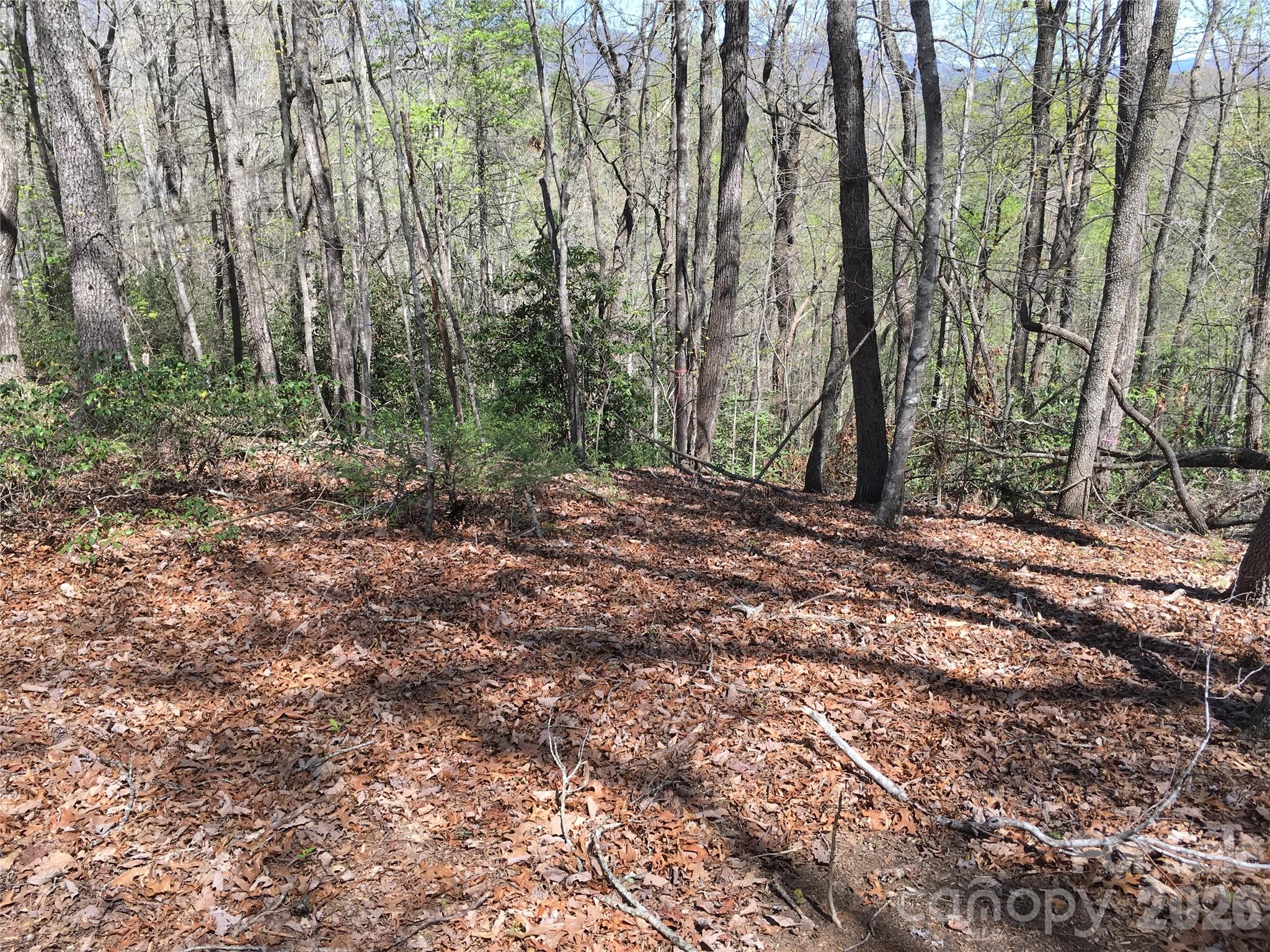 00 Lytle Mountain Road Property Photo 7
