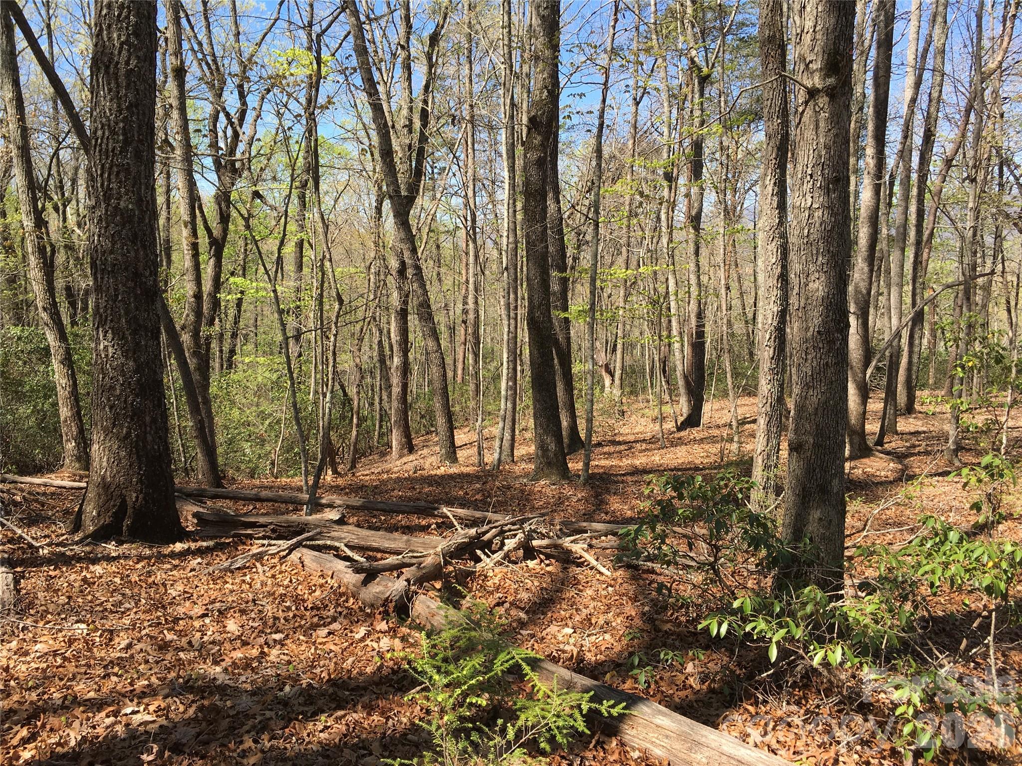 00 Lytle Mountain Road Property Photo 8