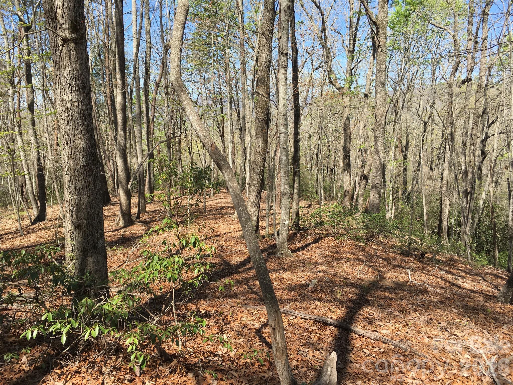 00 Lytle Mountain Road Property Photo 9