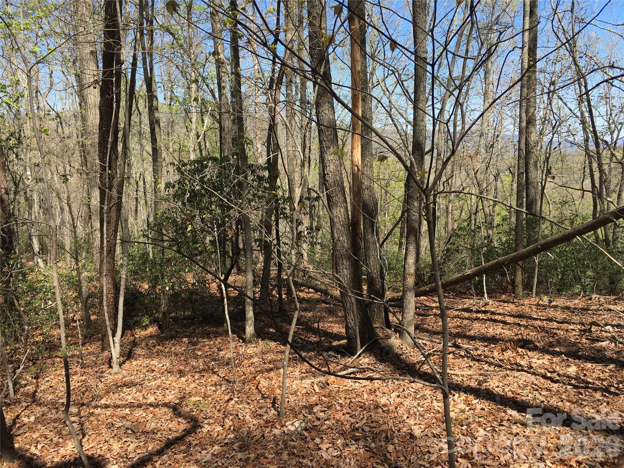 00 Lytle Mountain Road Property Photo 10