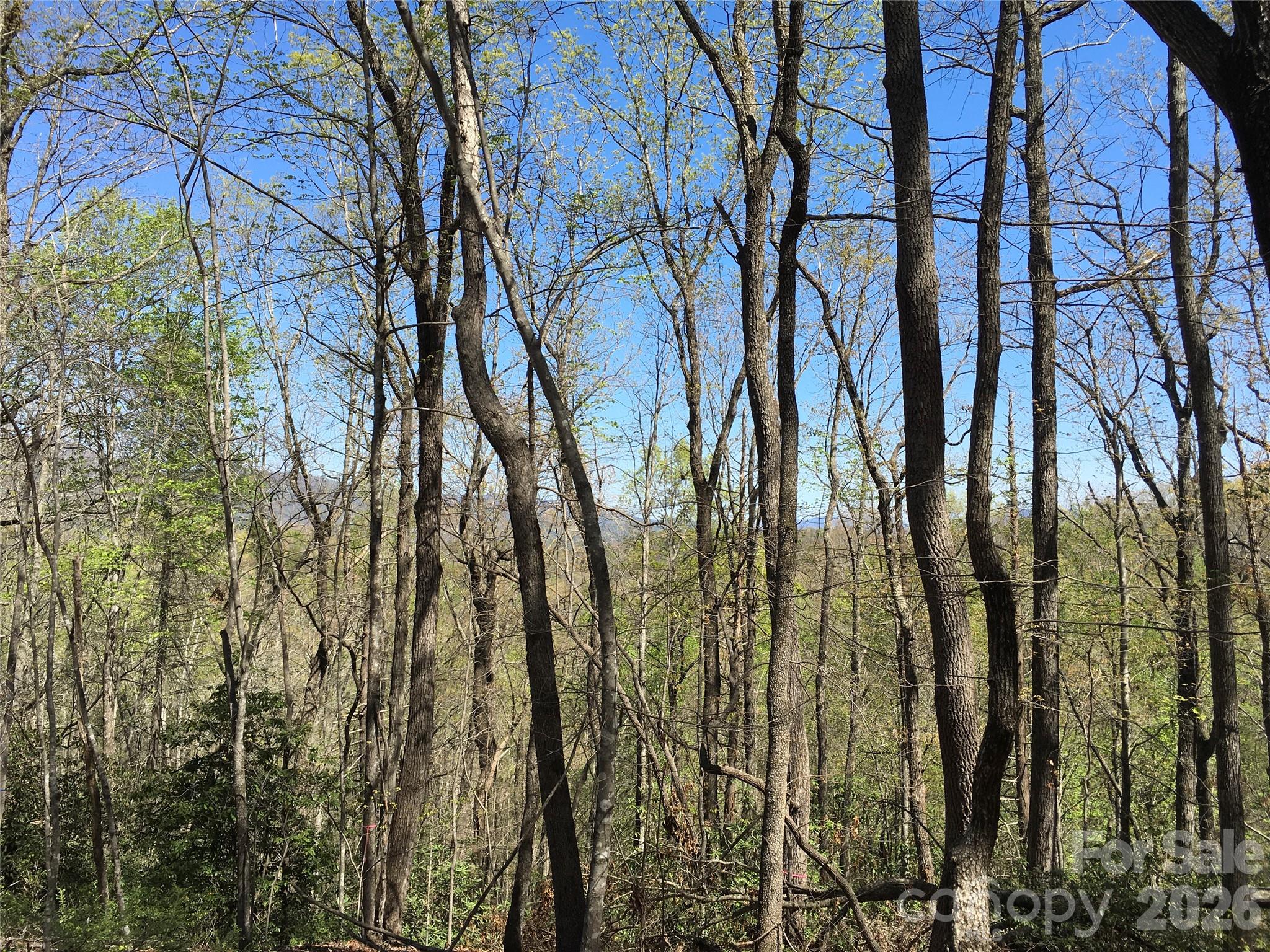 00 Lytle Mountain Road Property Photo 11