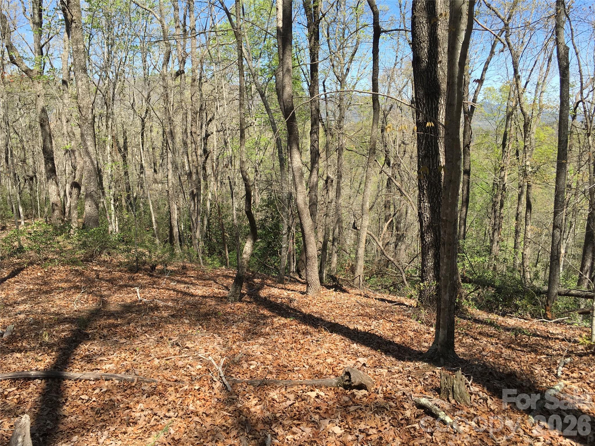 00 Lytle Mountain Road Property Photo 12