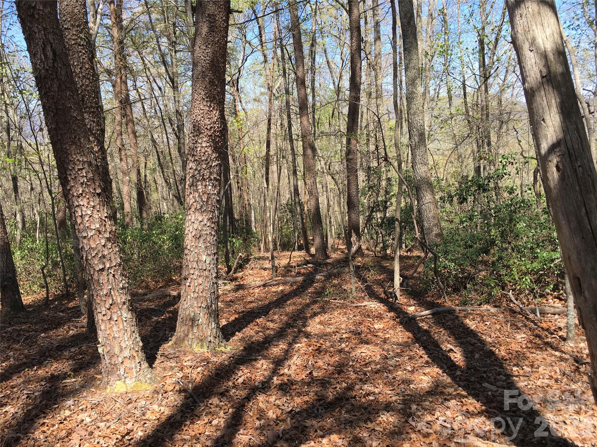 00 Lytle Mountain Road Property Photo 13