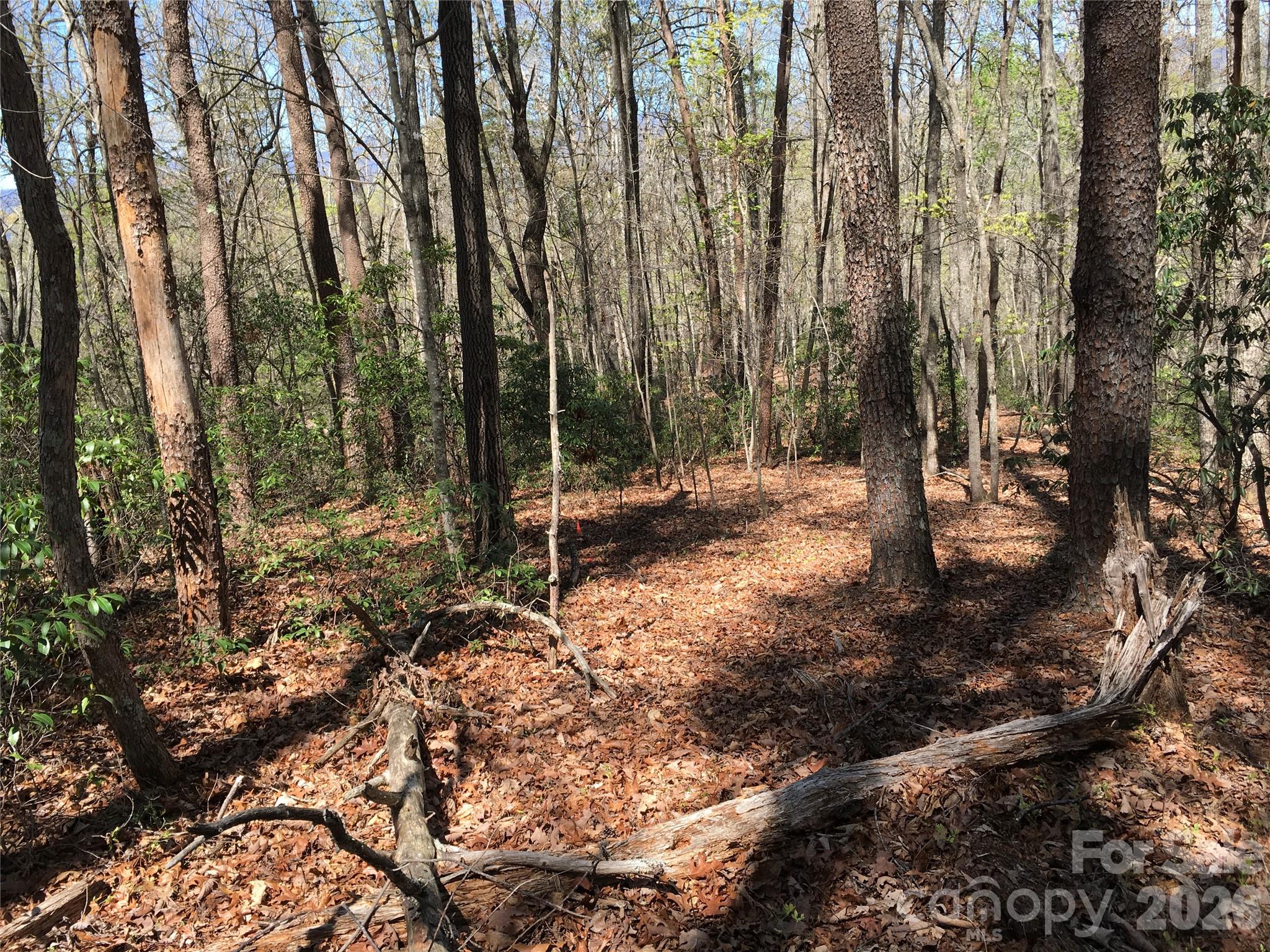 00 Lytle Mountain Road Property Photo 14