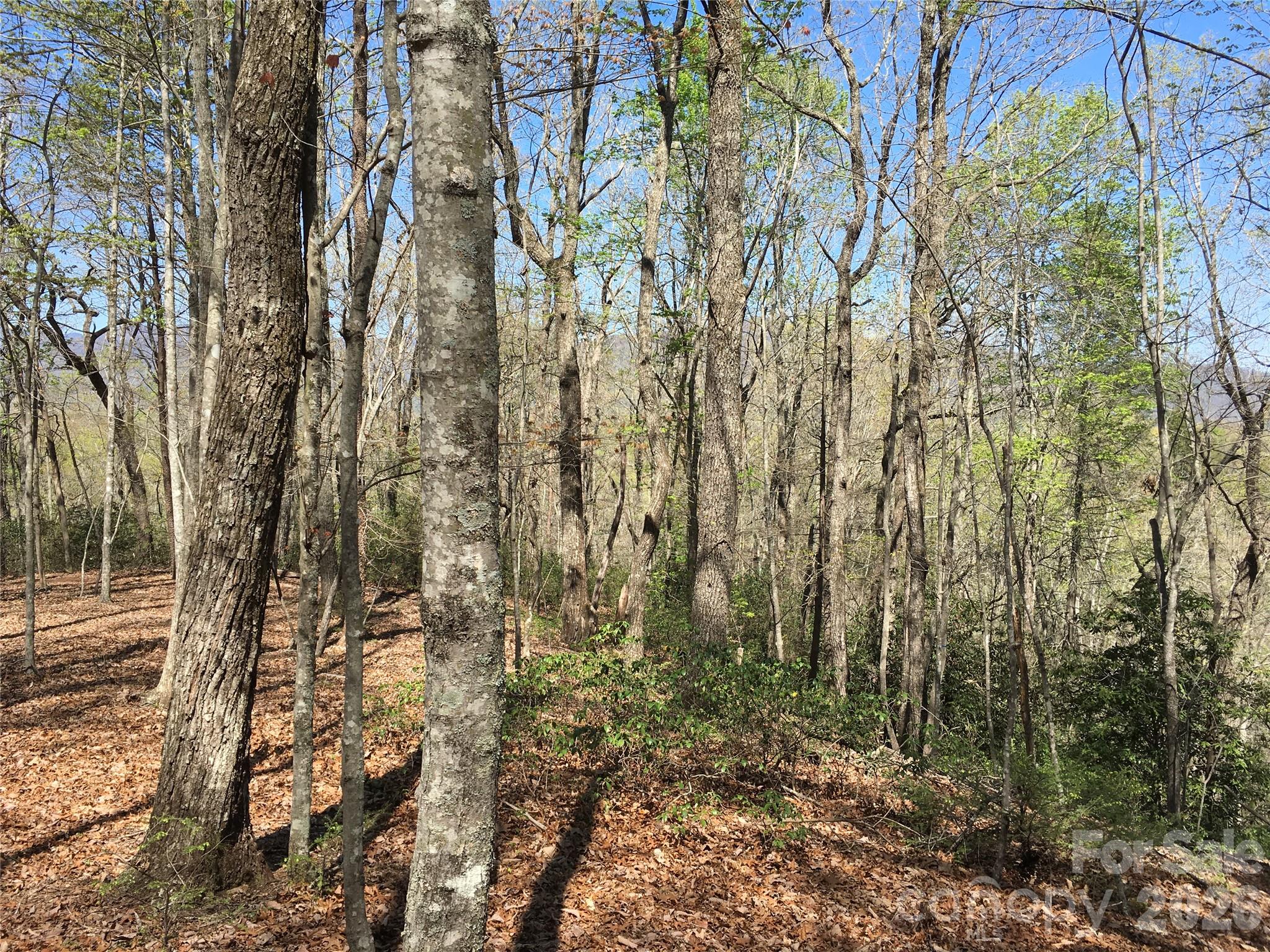00 Lytle Mountain Road Property Photo 15