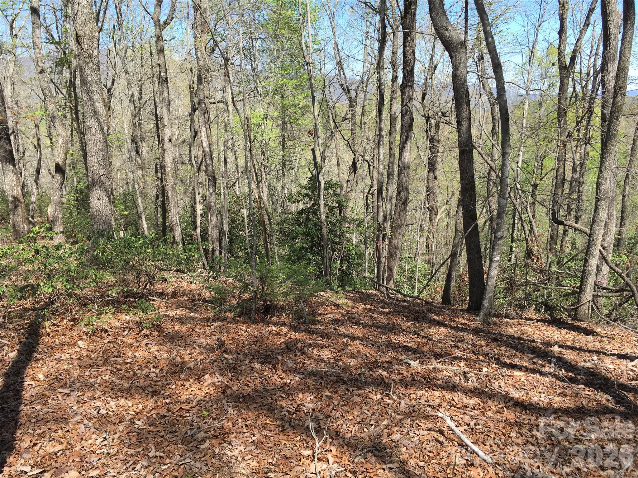 00 Lytle Mountain Road Property Photo 16