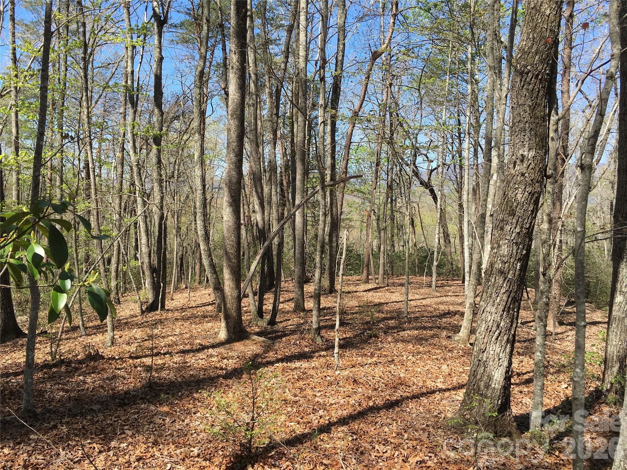 00 Lytle Mountain Road Property Photo 17