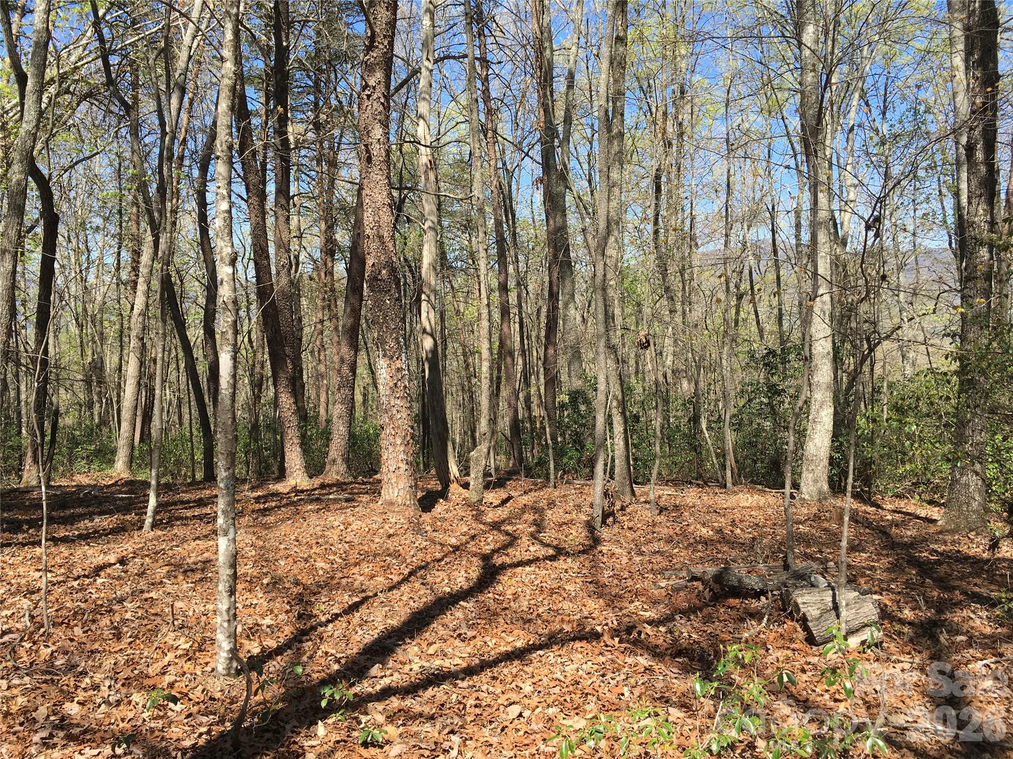 00 Lytle Mountain Road Property Photo 18