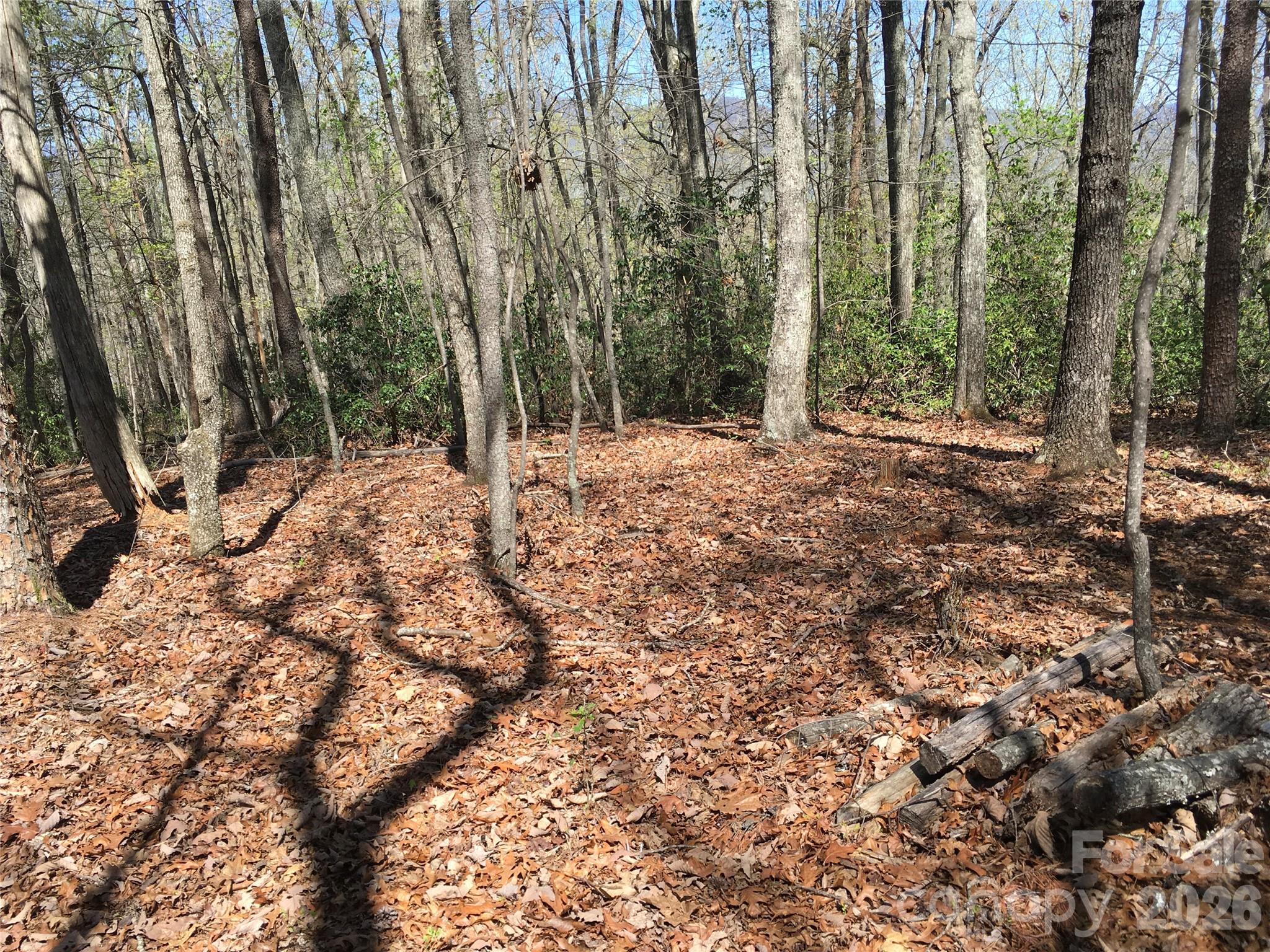 00 Lytle Mountain Road Property Photo 19