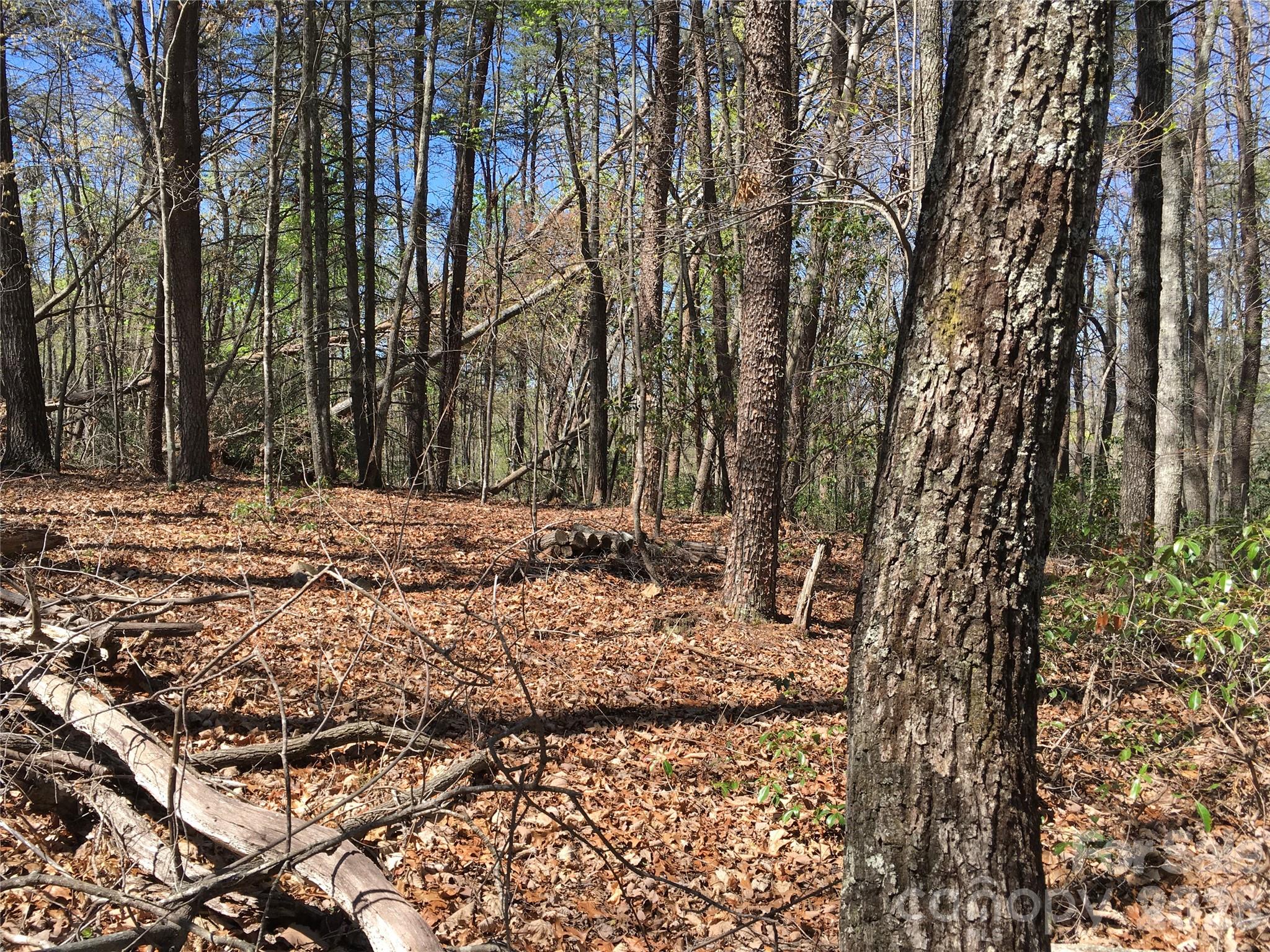 00 Lytle Mountain Road Property Photo 20