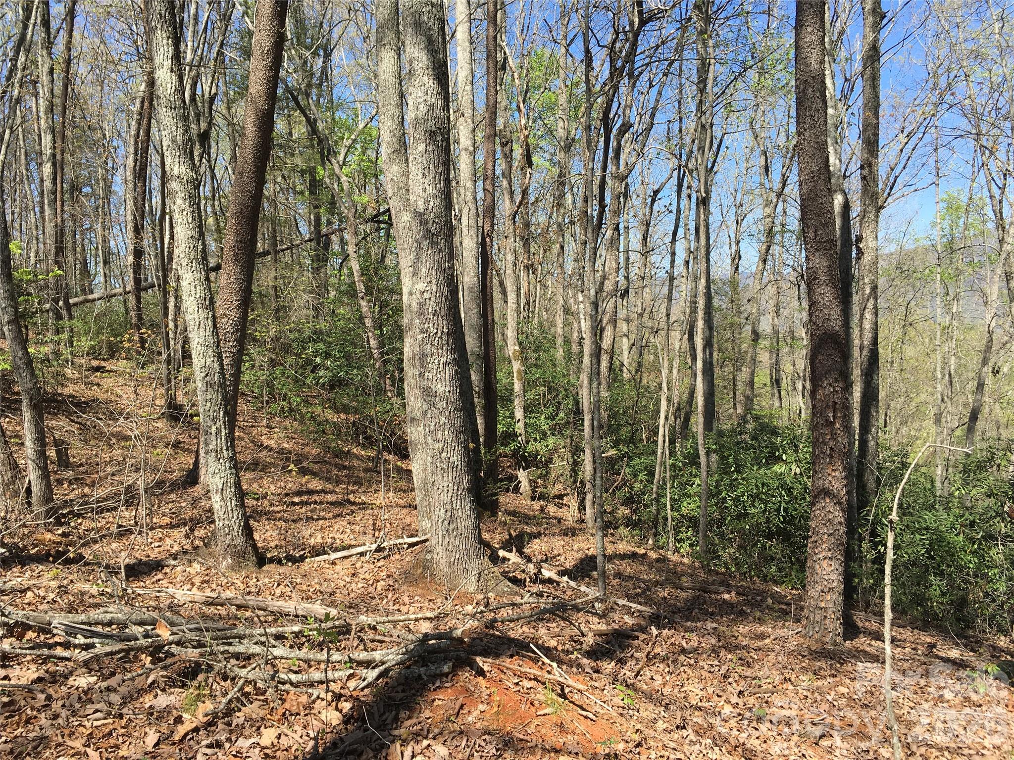 00 Lytle Mountain Road Property Photo 21