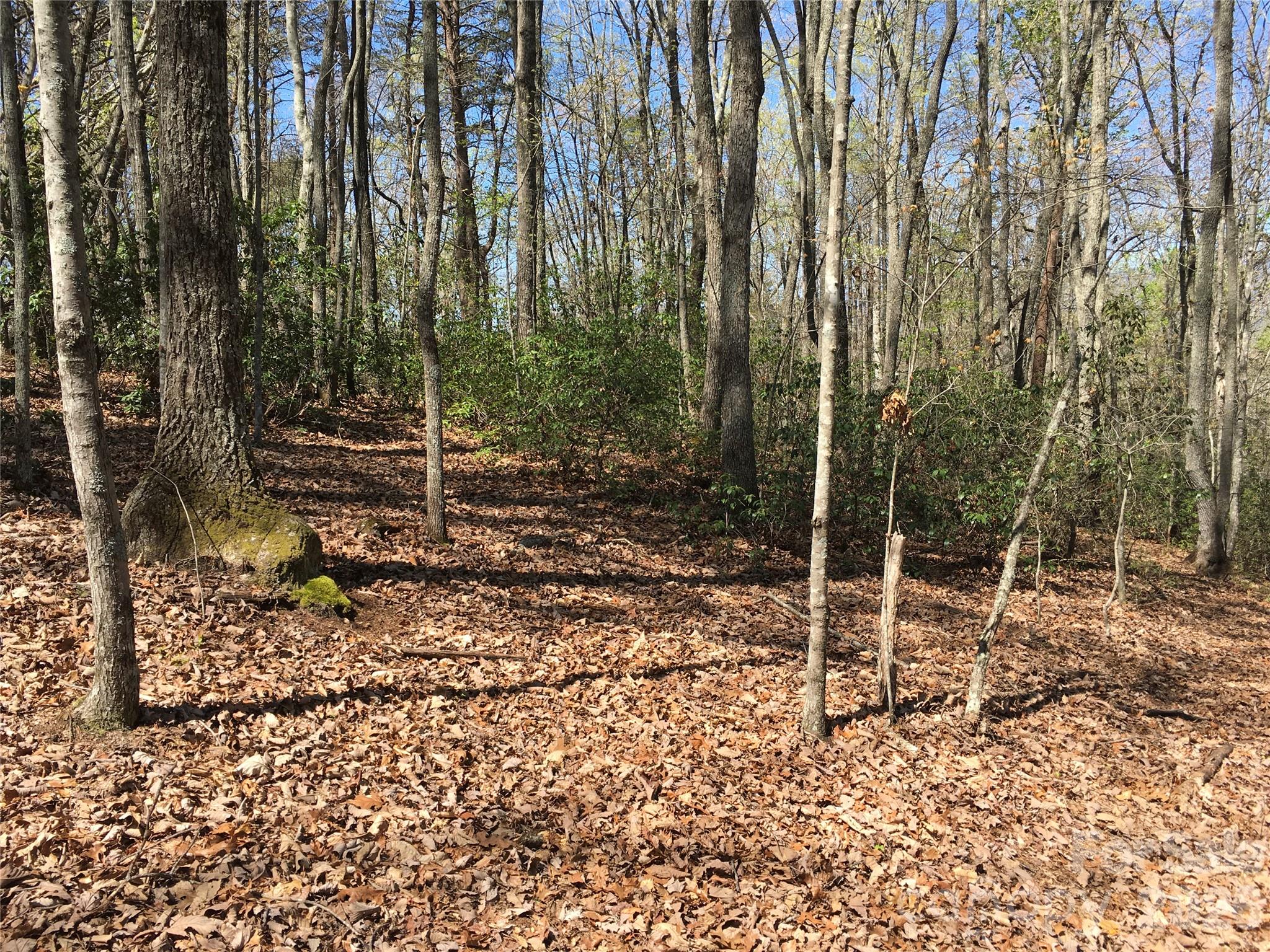 00 Lytle Mountain Road Property Photo 23