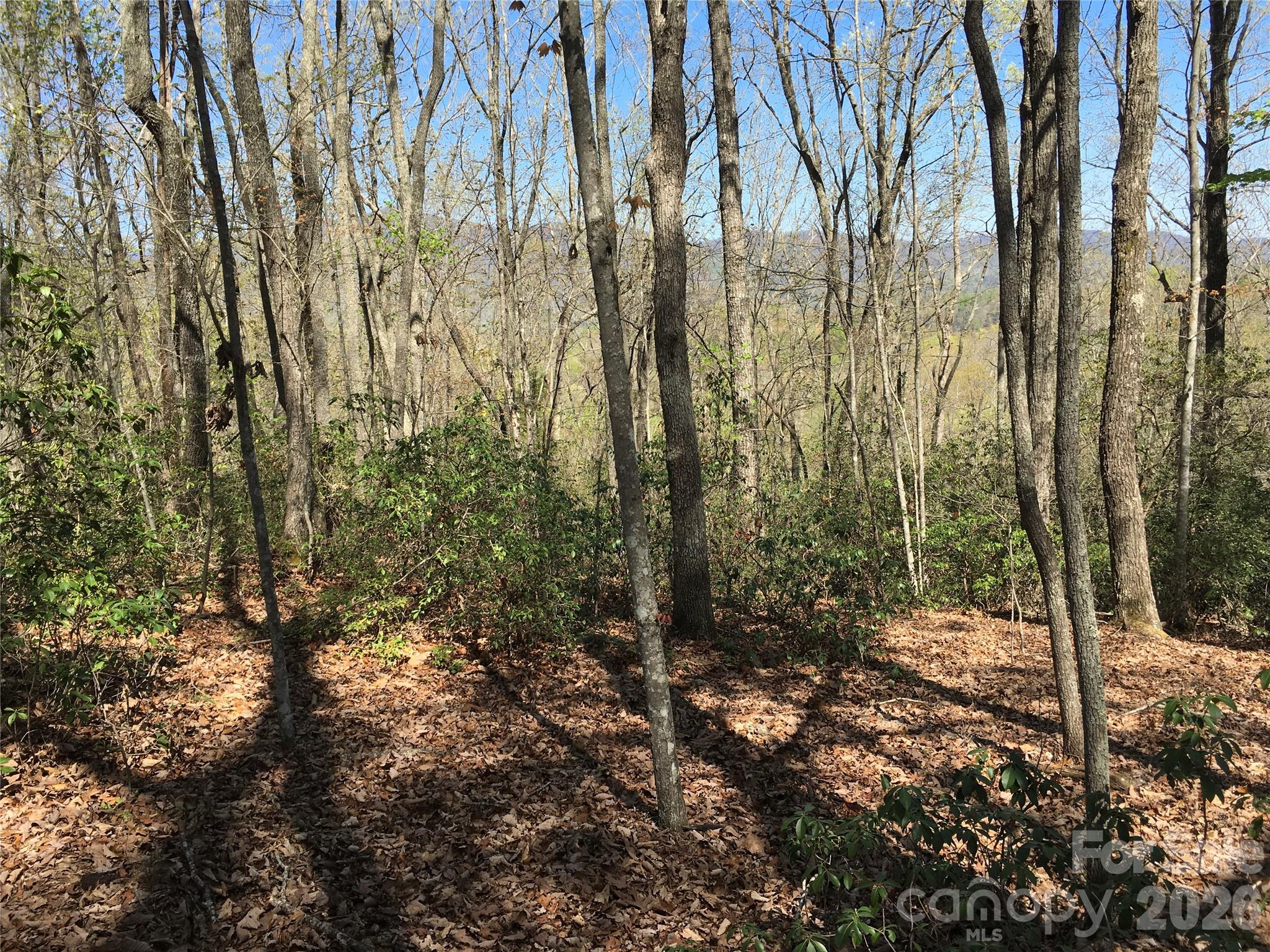 00 Lytle Mountain Road Property Photo 25