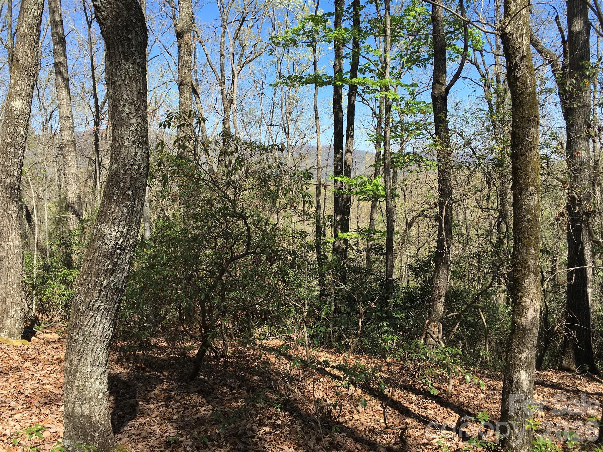 00 Lytle Mountain Road Property Photo 26