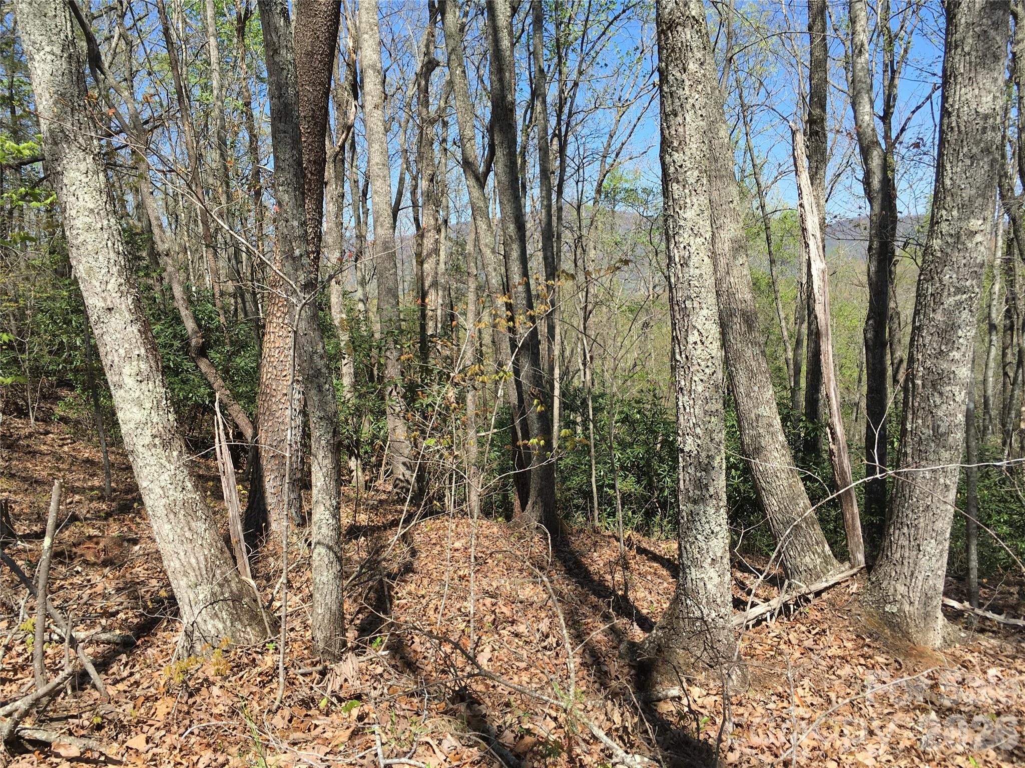 00 Lytle Mountain Road Property Photo 27