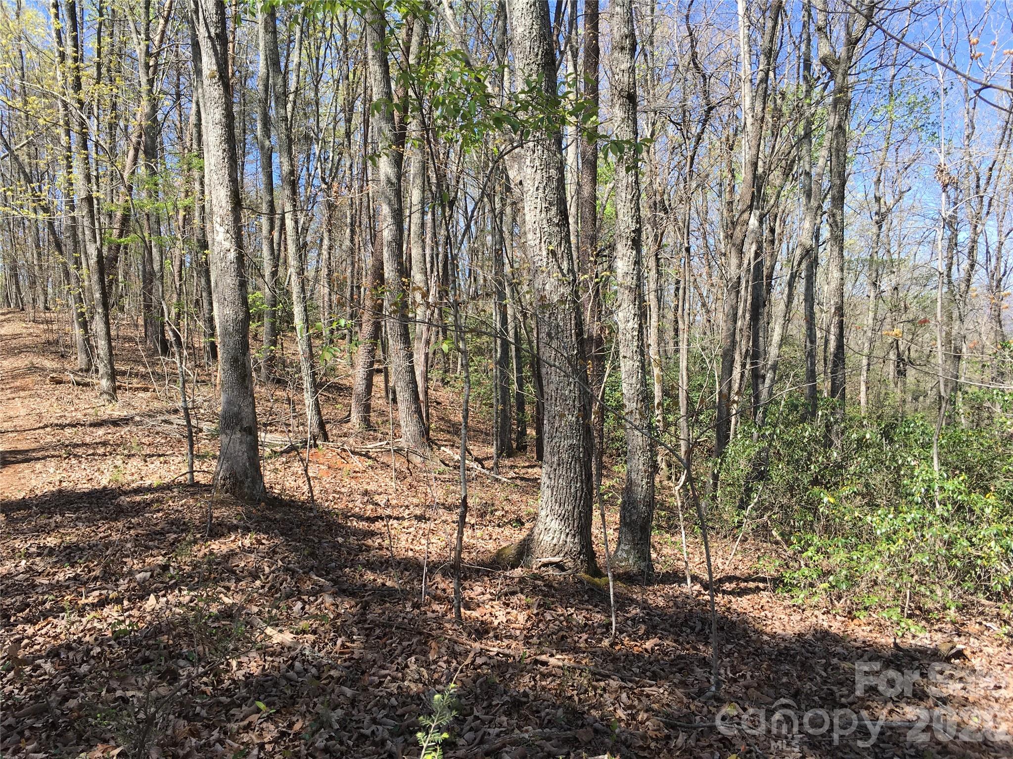 00 Lytle Mountain Road Property Photo 28