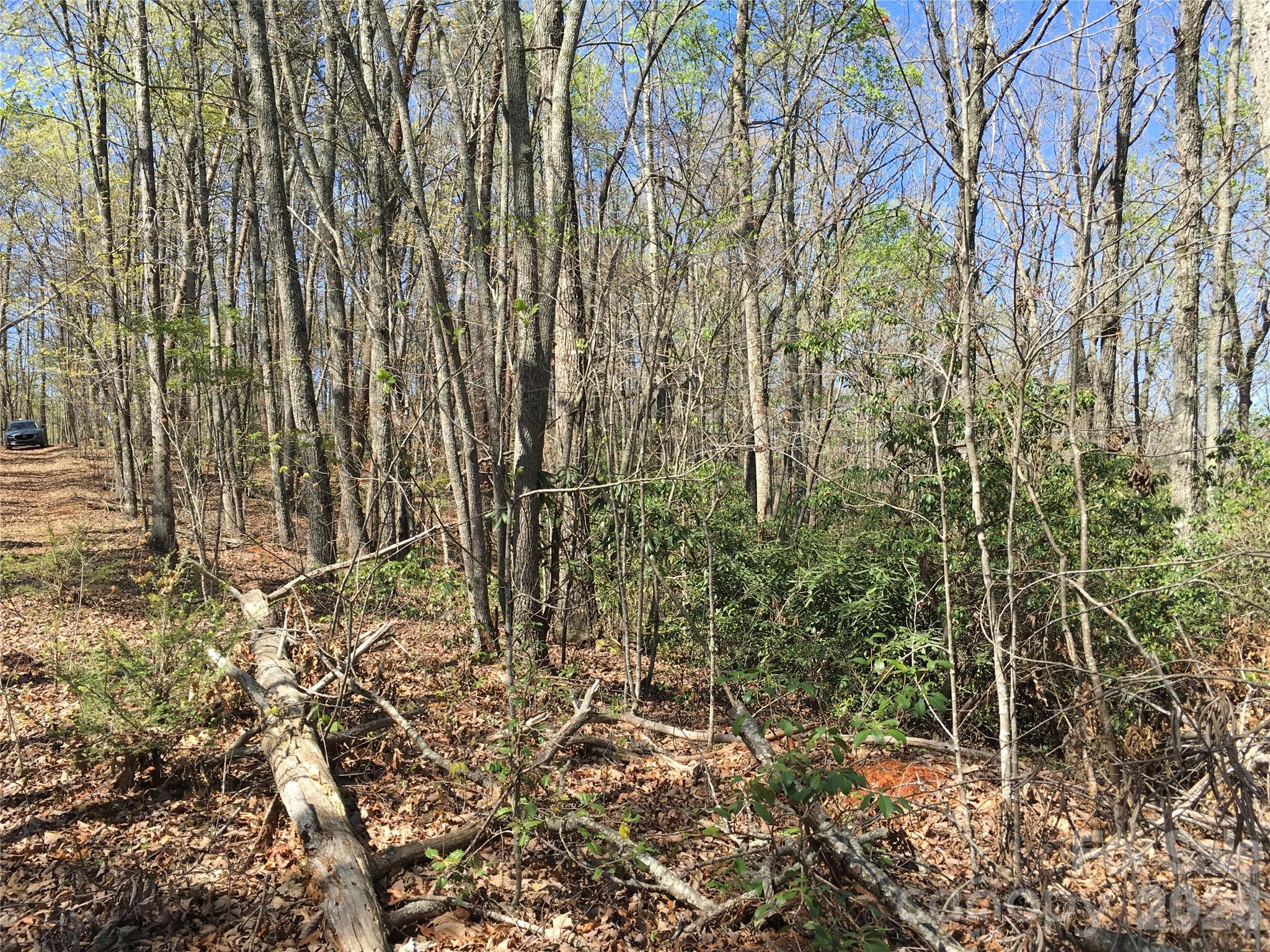 00 Lytle Mountain Road Property Photo 29