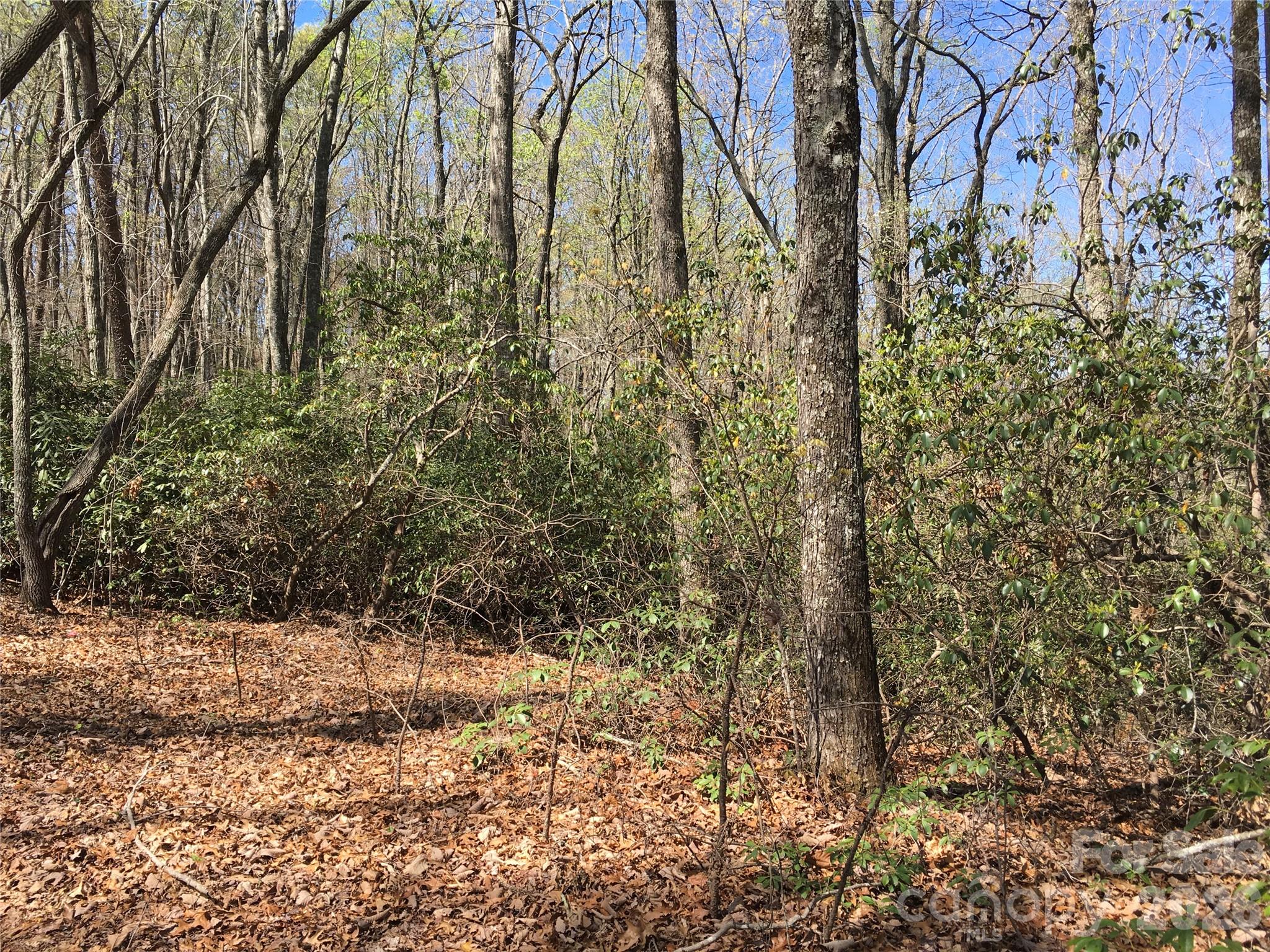 00 Lytle Mountain Road Property Photo 30