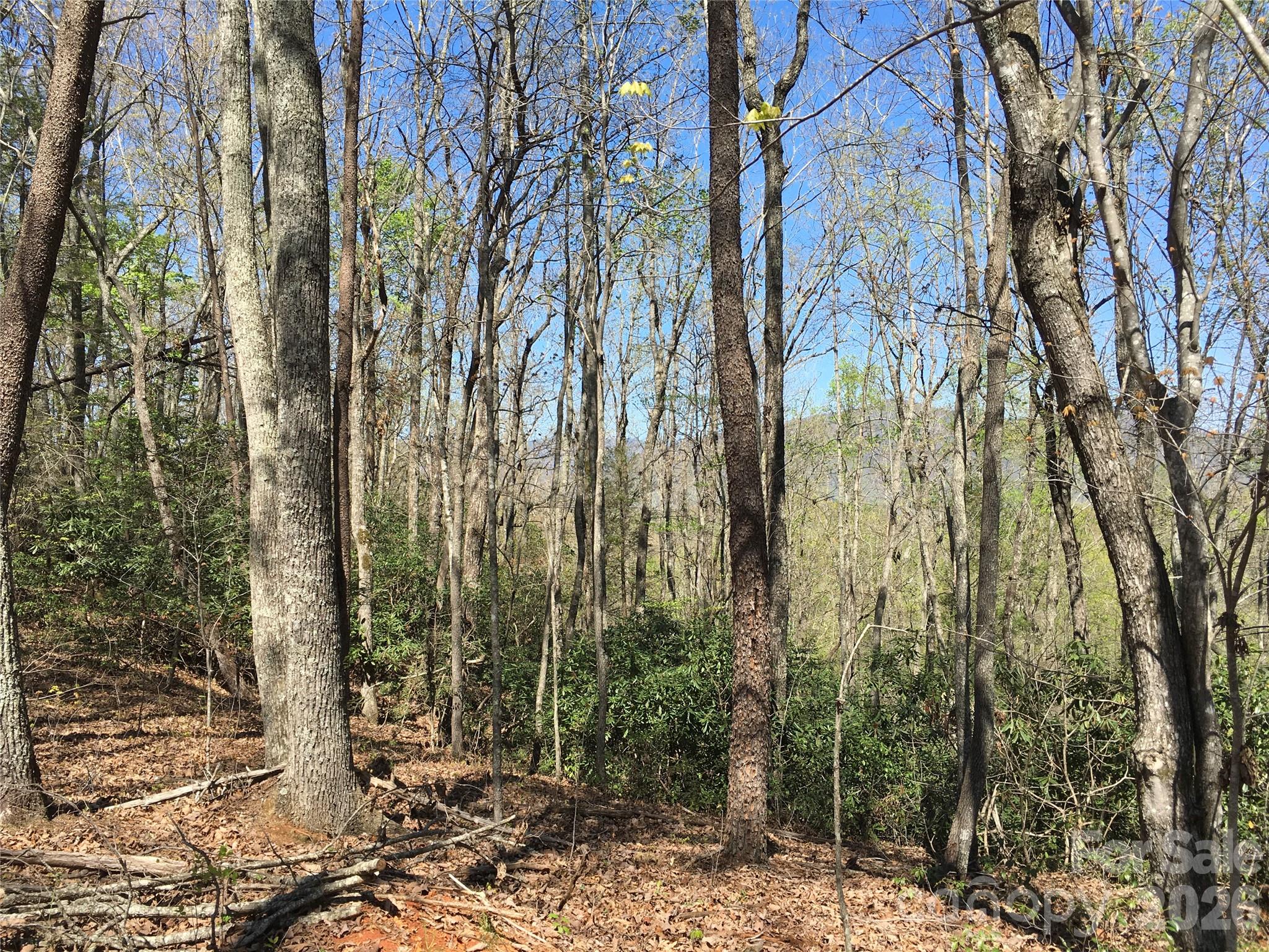 00 Lytle Mountain Road Property Photo 31
