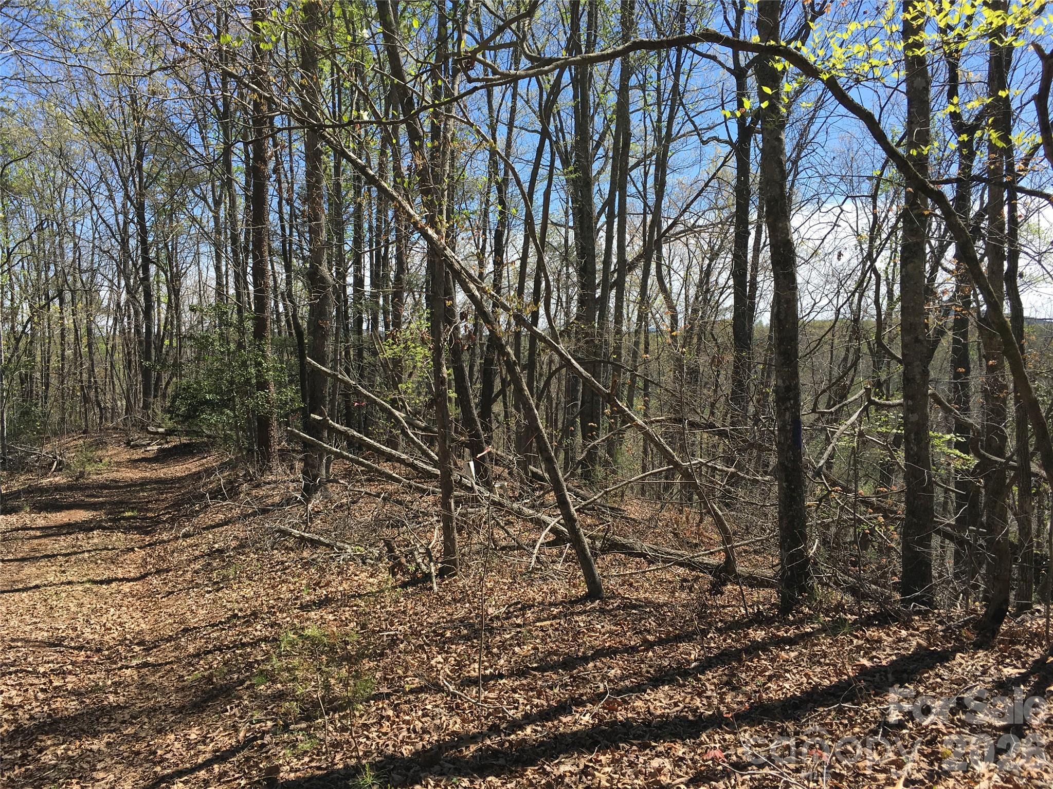 00 Lytle Mountain Road Property Photo 32