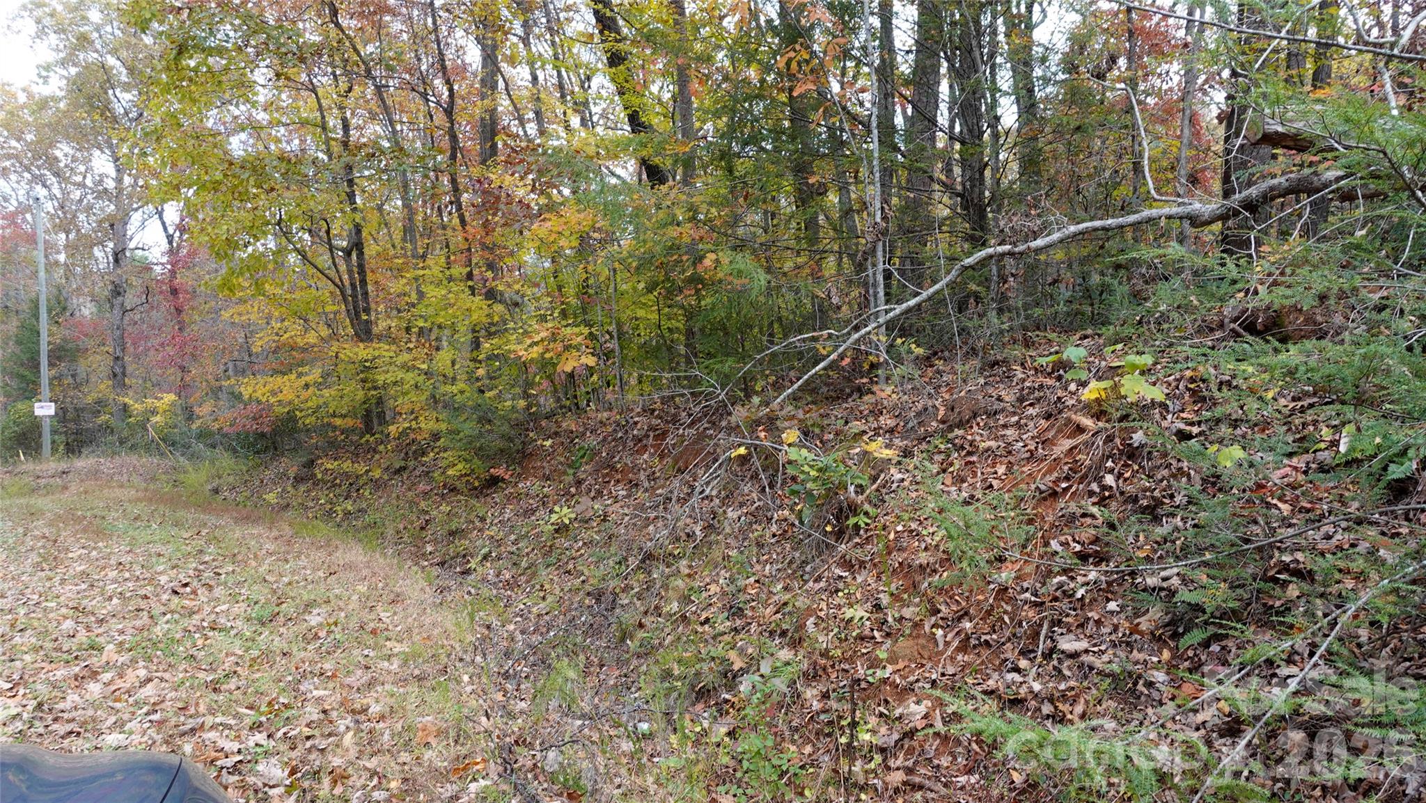 00 Lytle Mountain Road Property Photo 33