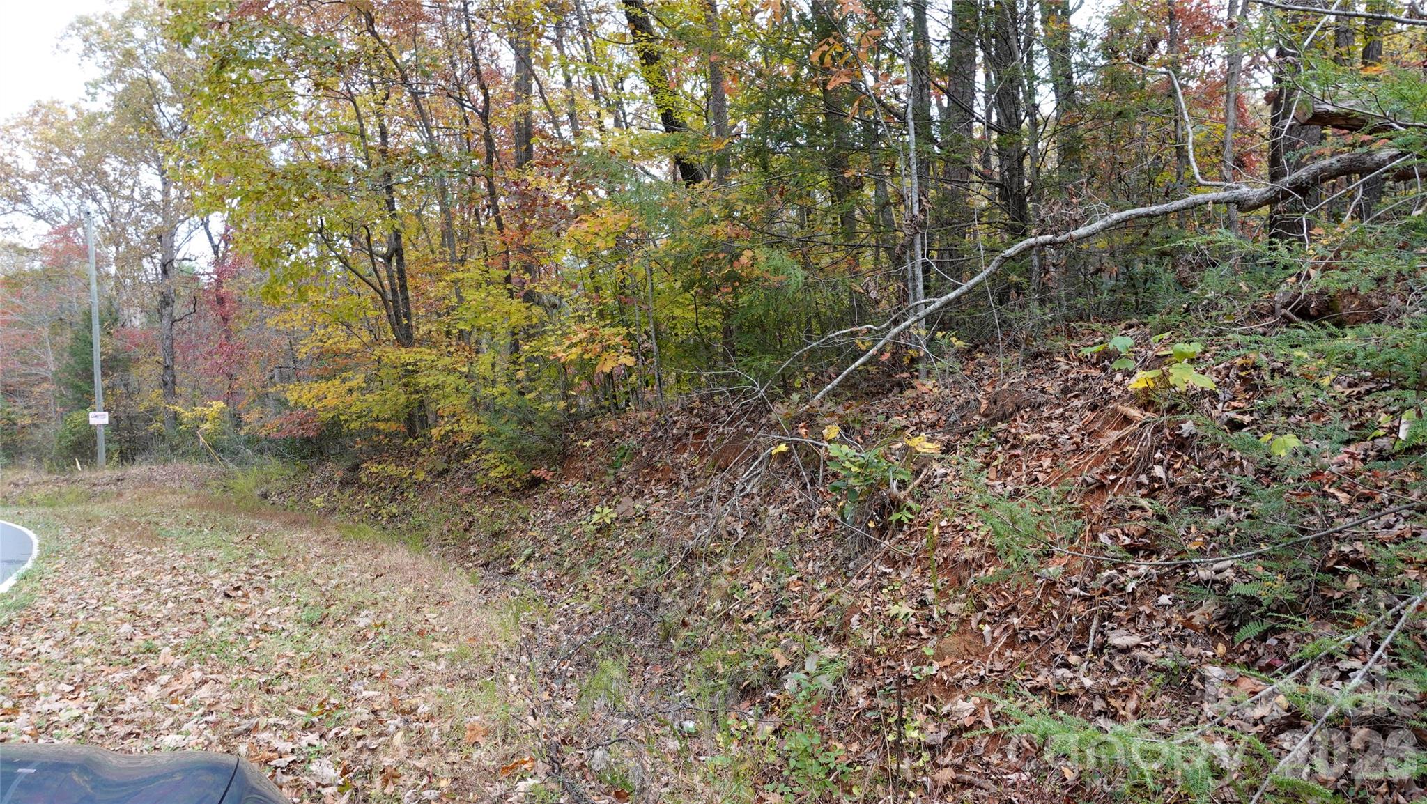 00 Lytle Mountain Road Property Photo 34