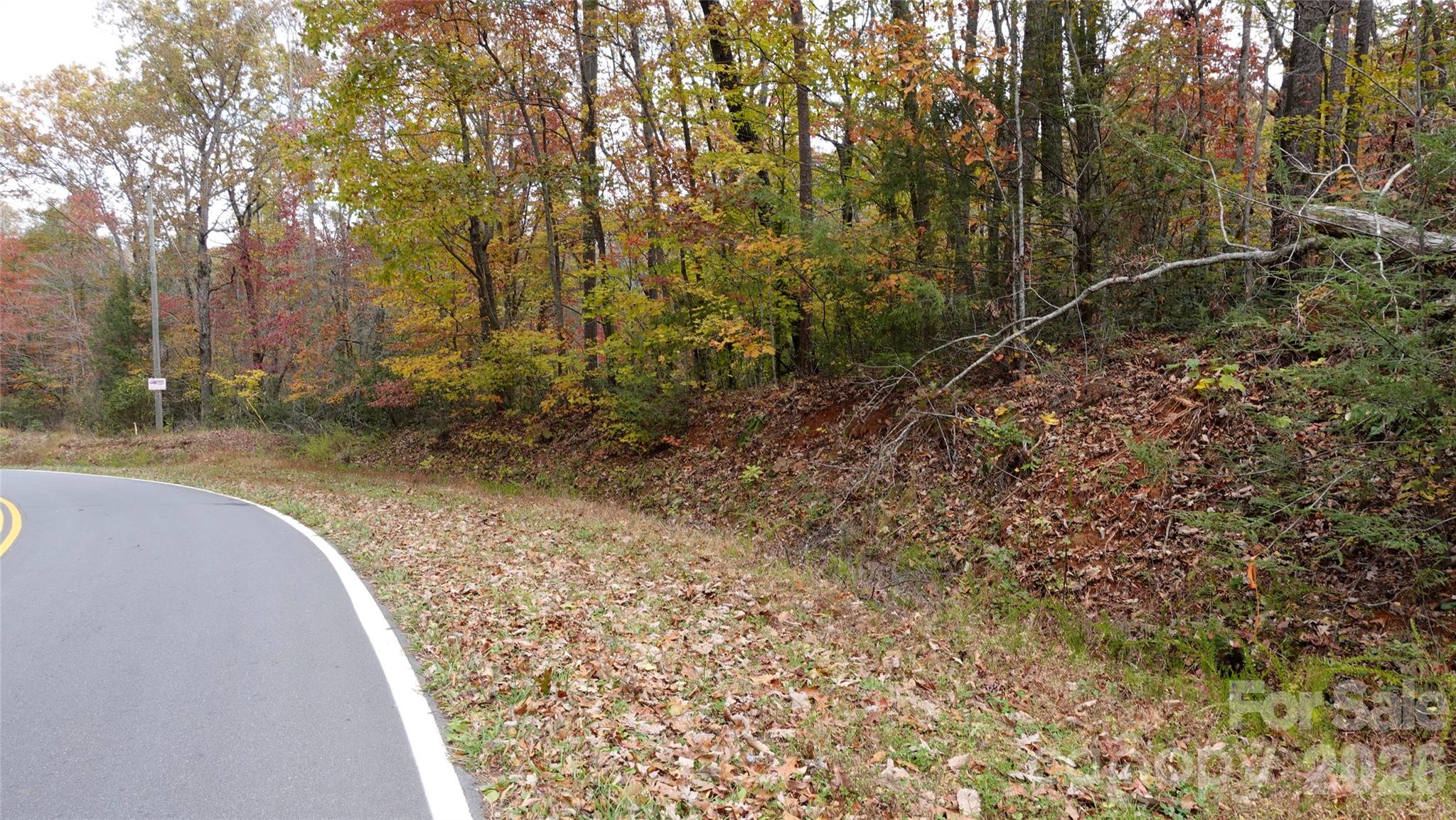 00 Lytle Mountain Road Property Photo 35