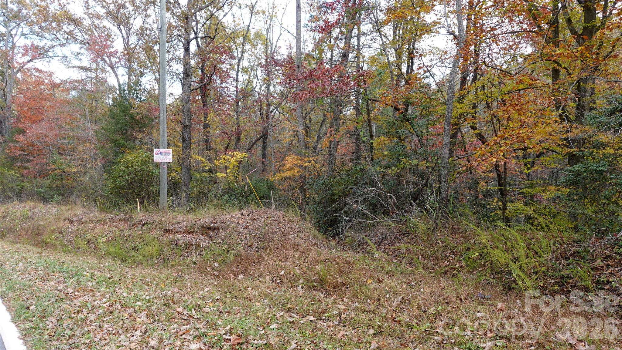 00 Lytle Mountain Road Property Photo 36
