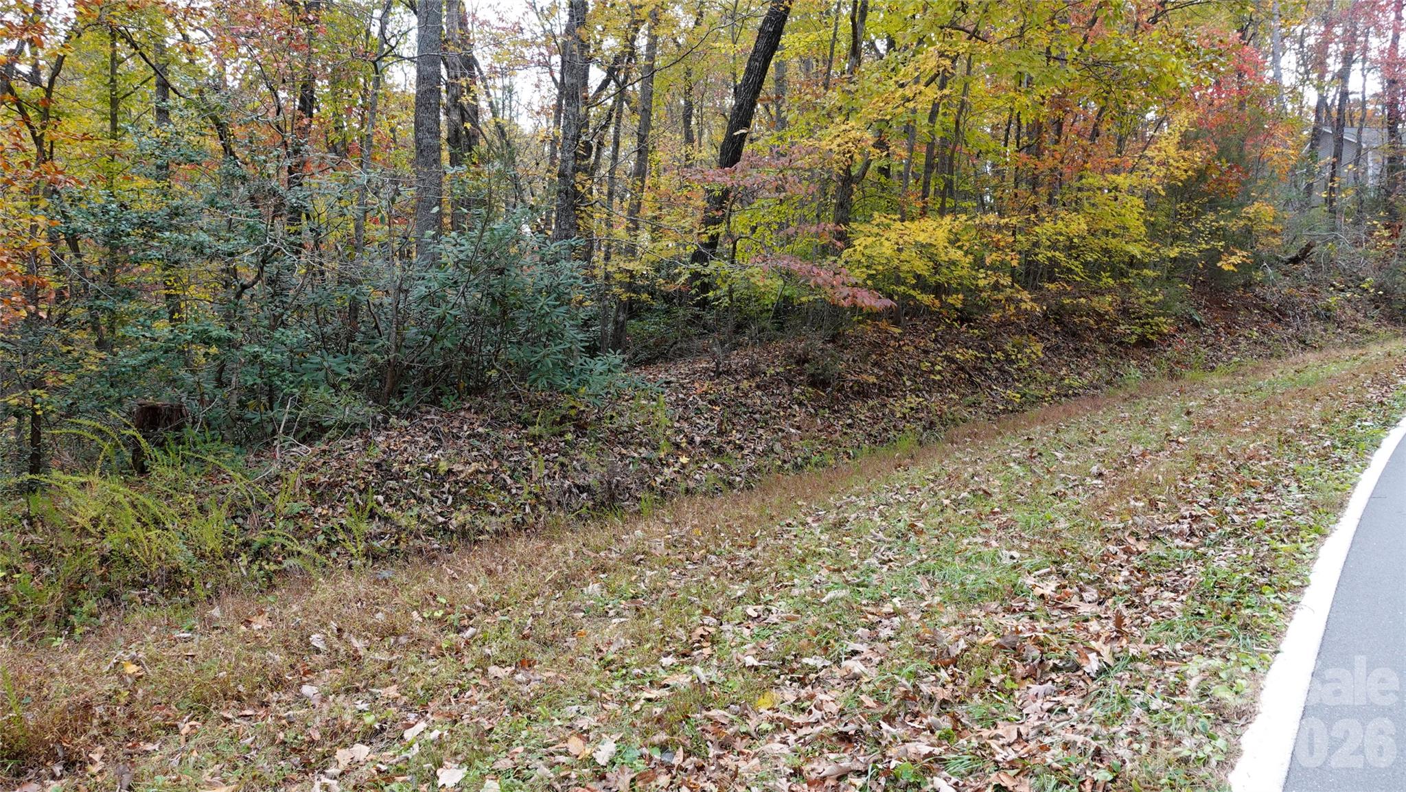 00 Lytle Mountain Road Property Photo 37